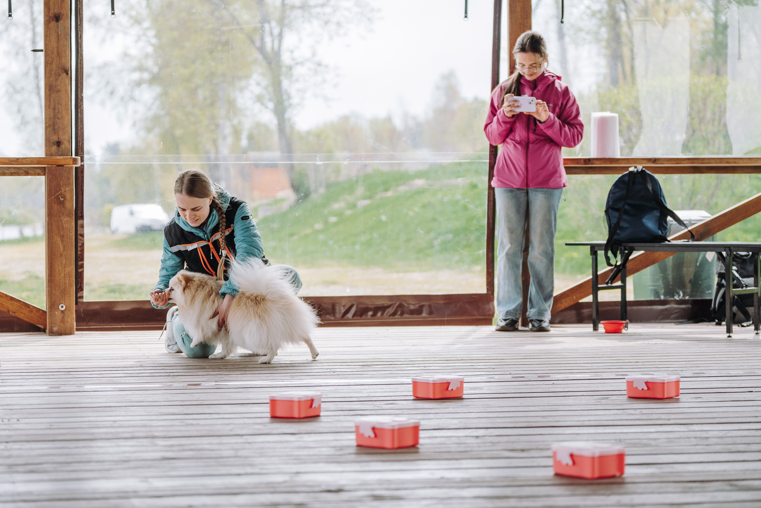 Соревнования по ноузворку в Лосево. Фотограф анималист в Спб недорого Олеся Майорова