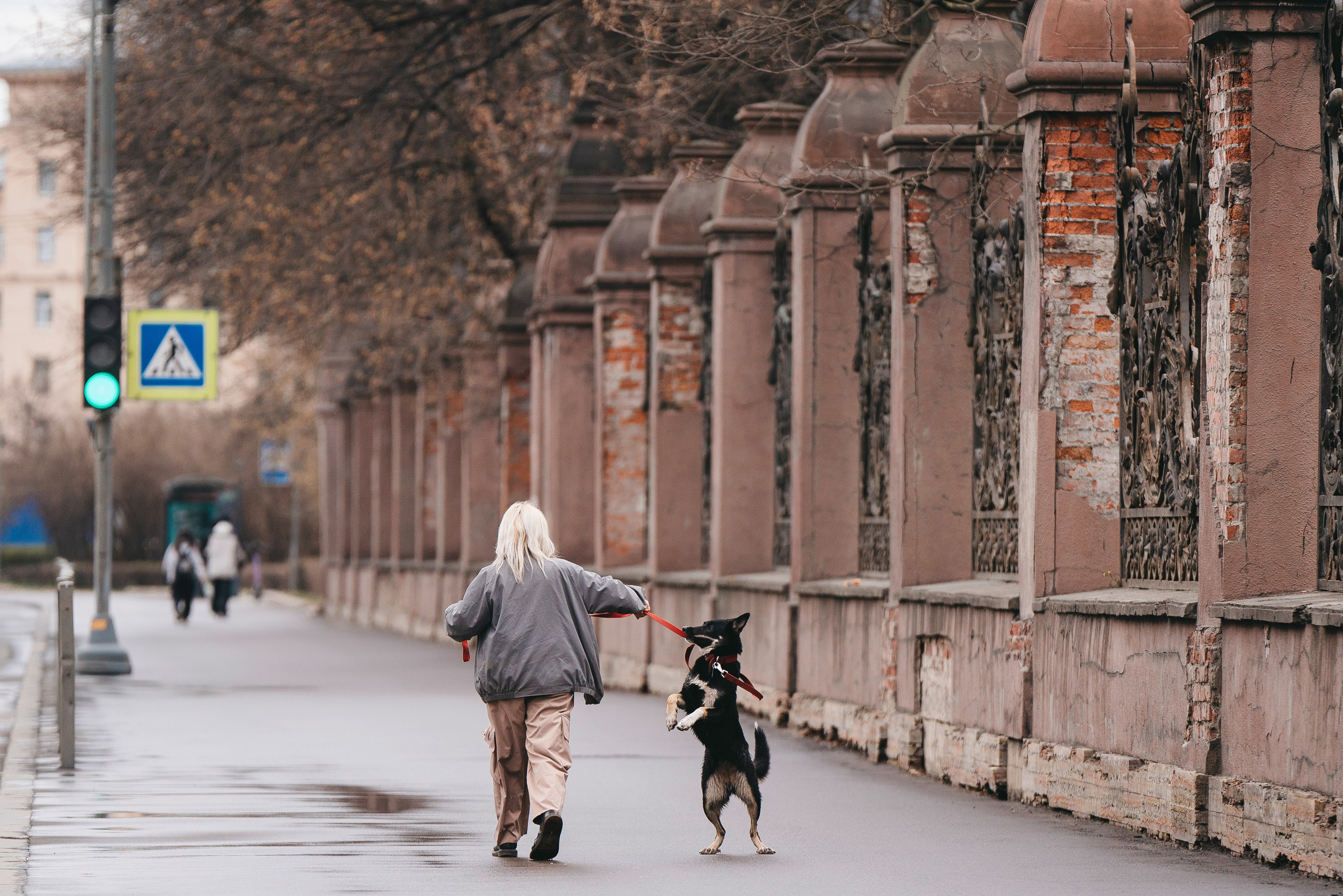Эля и Шиза. Фотограф анималист в Спб недорого Олеся Майорова