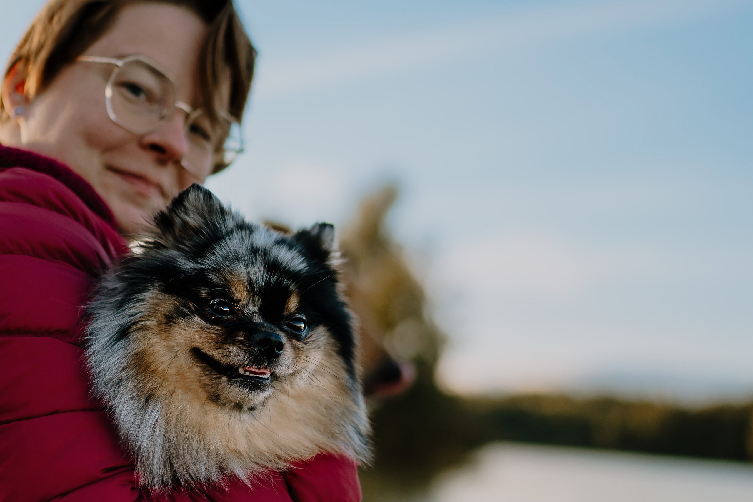 Семейная фотосессия с двумя собаками на закате. Фотограф анималист в Спб недорого Олеся Майорова
