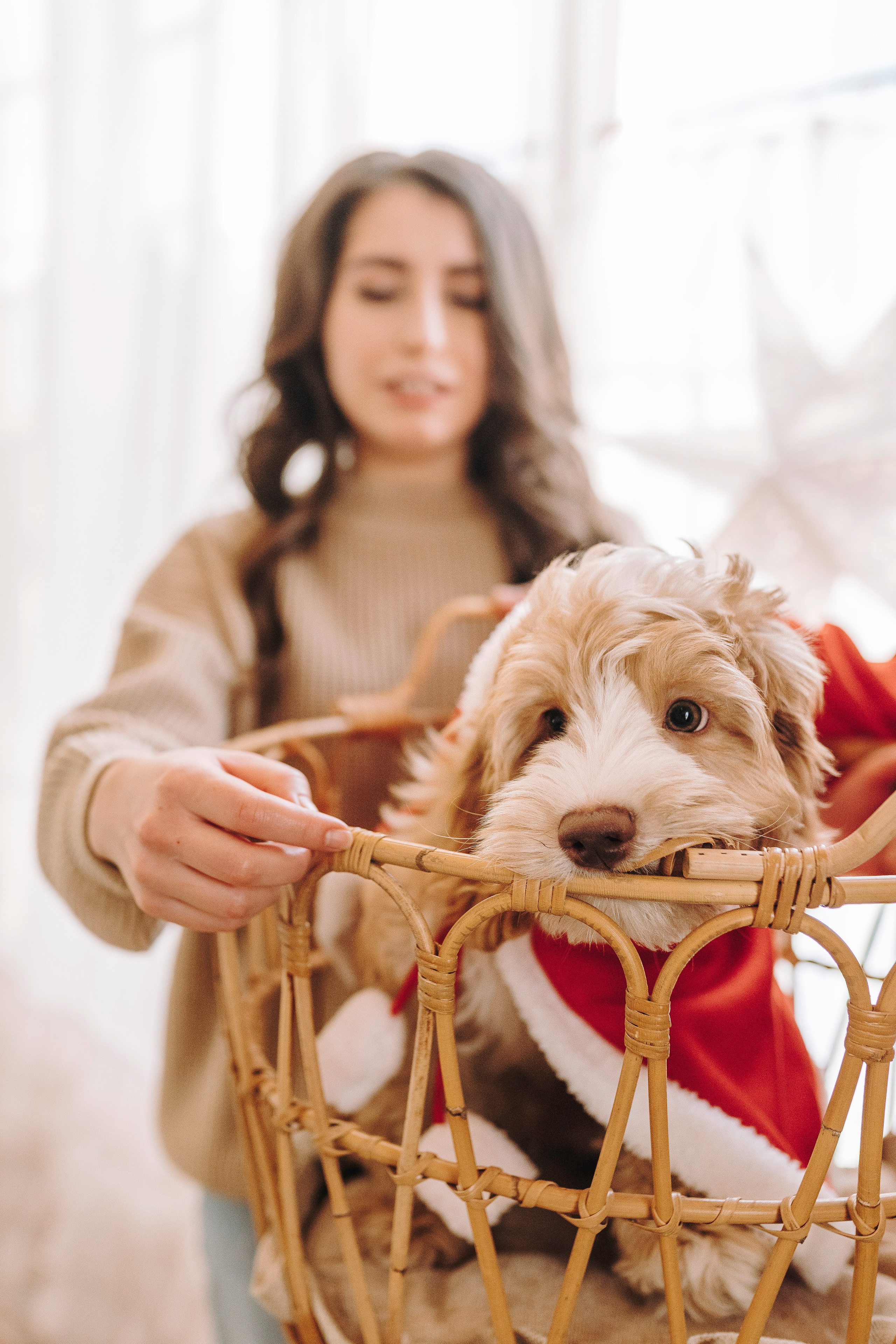 Мёрфи, Таня и Антон. Фотограф анималист в Спб недорого Олеся Майорова