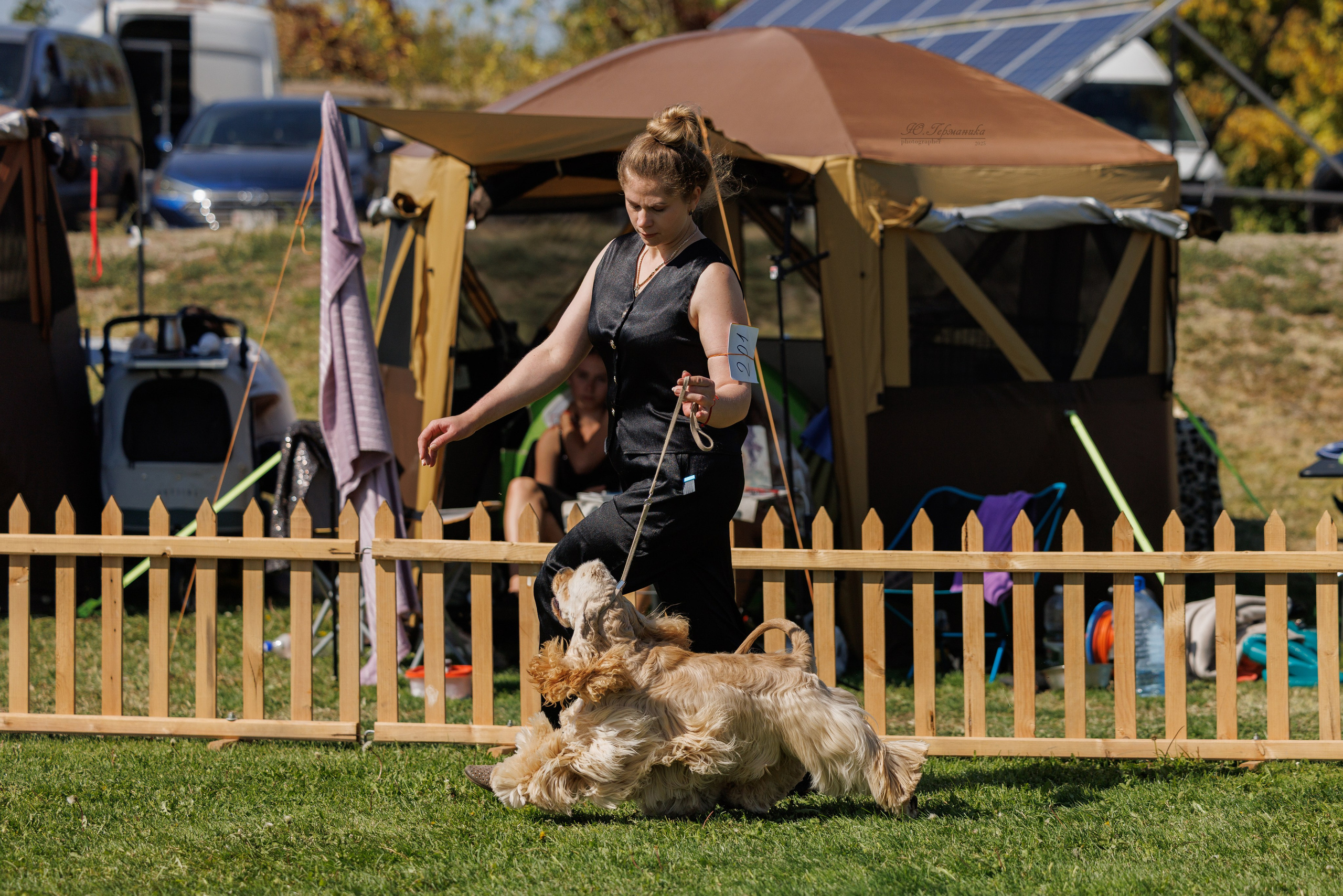 Ереван 14-16.10.2025. Фотограф-анималист Юлия Германика