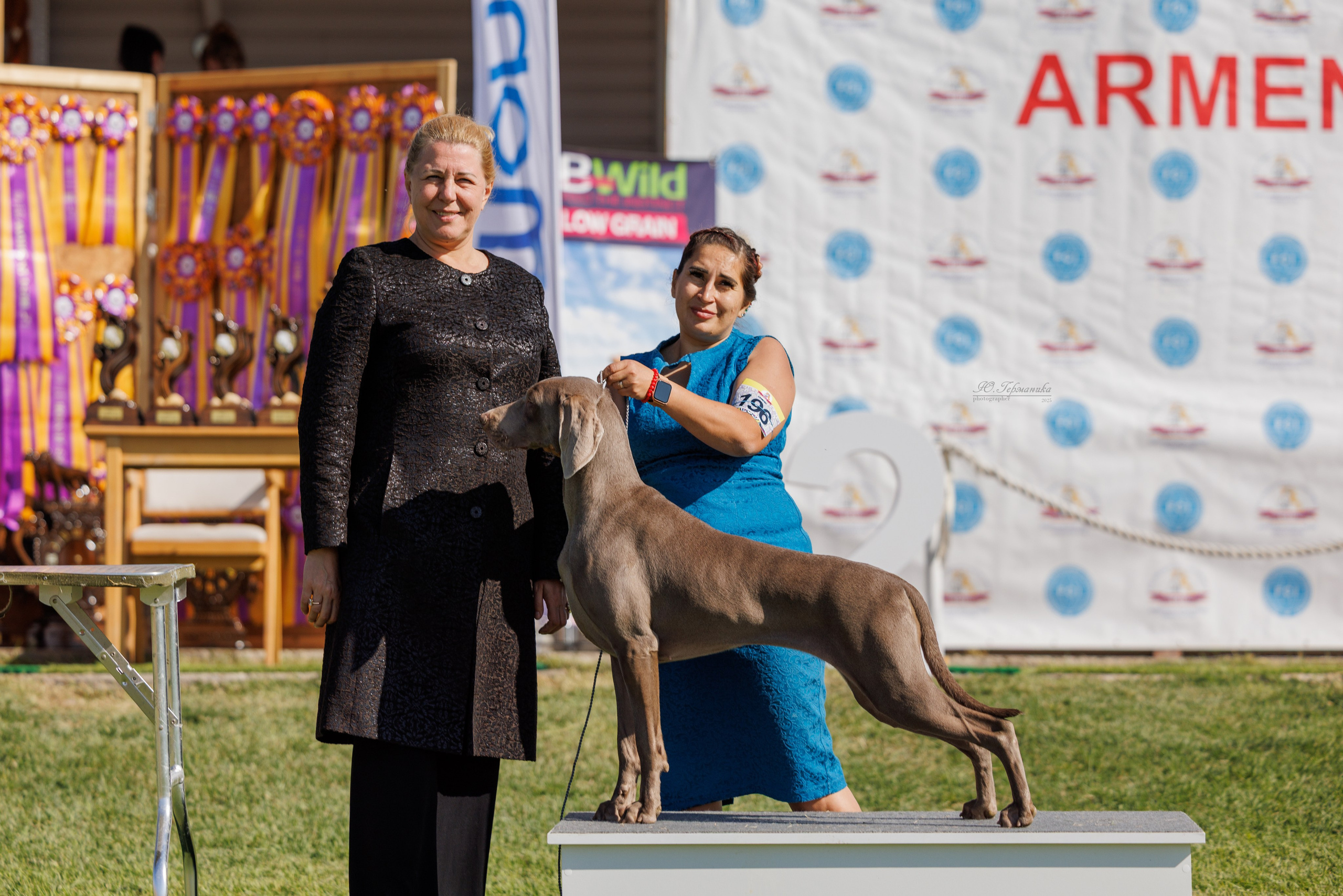 Ереван 14-16.10.2025. Фотограф-анималист Юлия Германика
