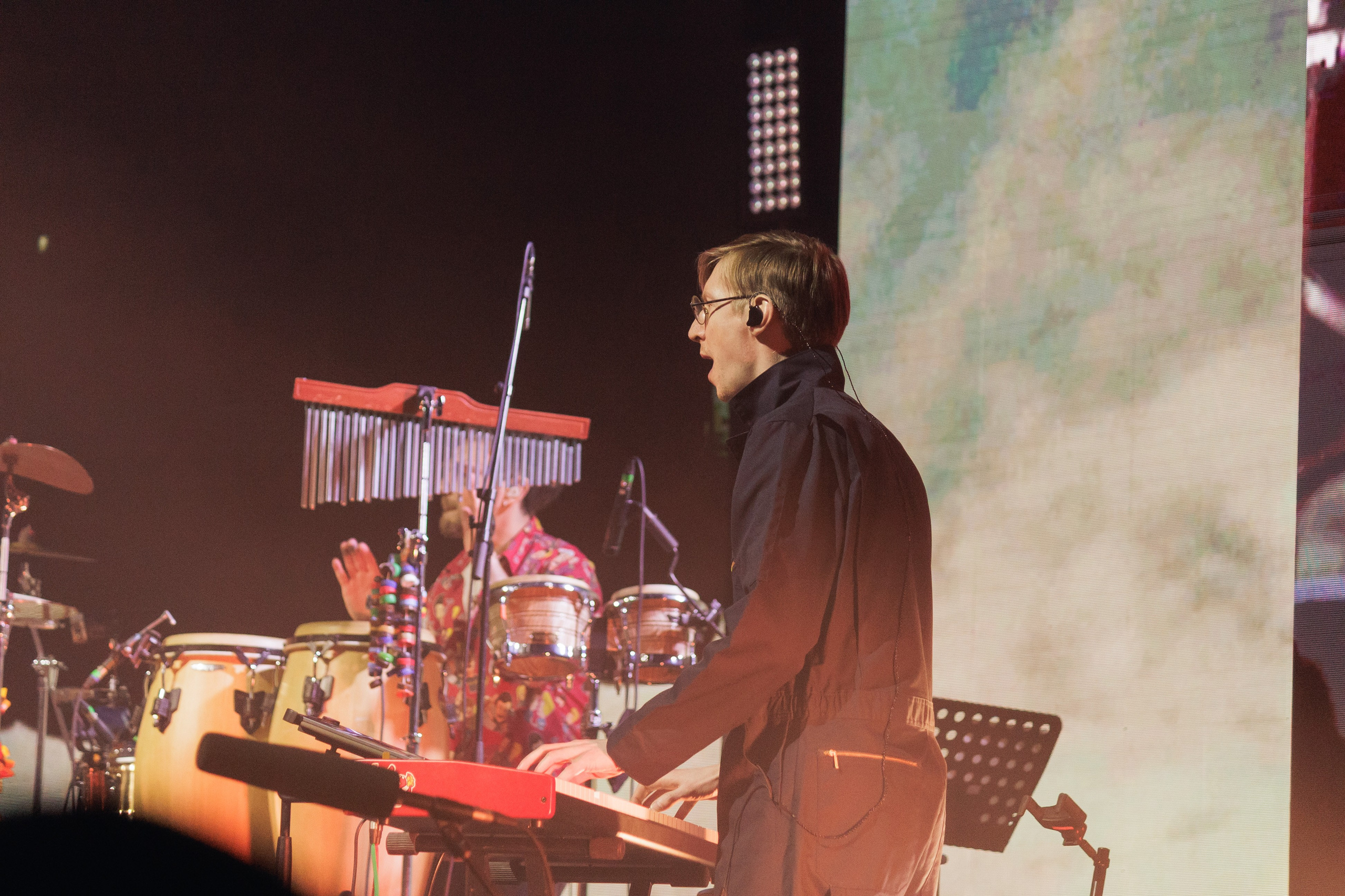 Концерт группы «Ленинград». Ярославль. 2026. Репортажный фотограф. Ярославль. Мелюшин Александр