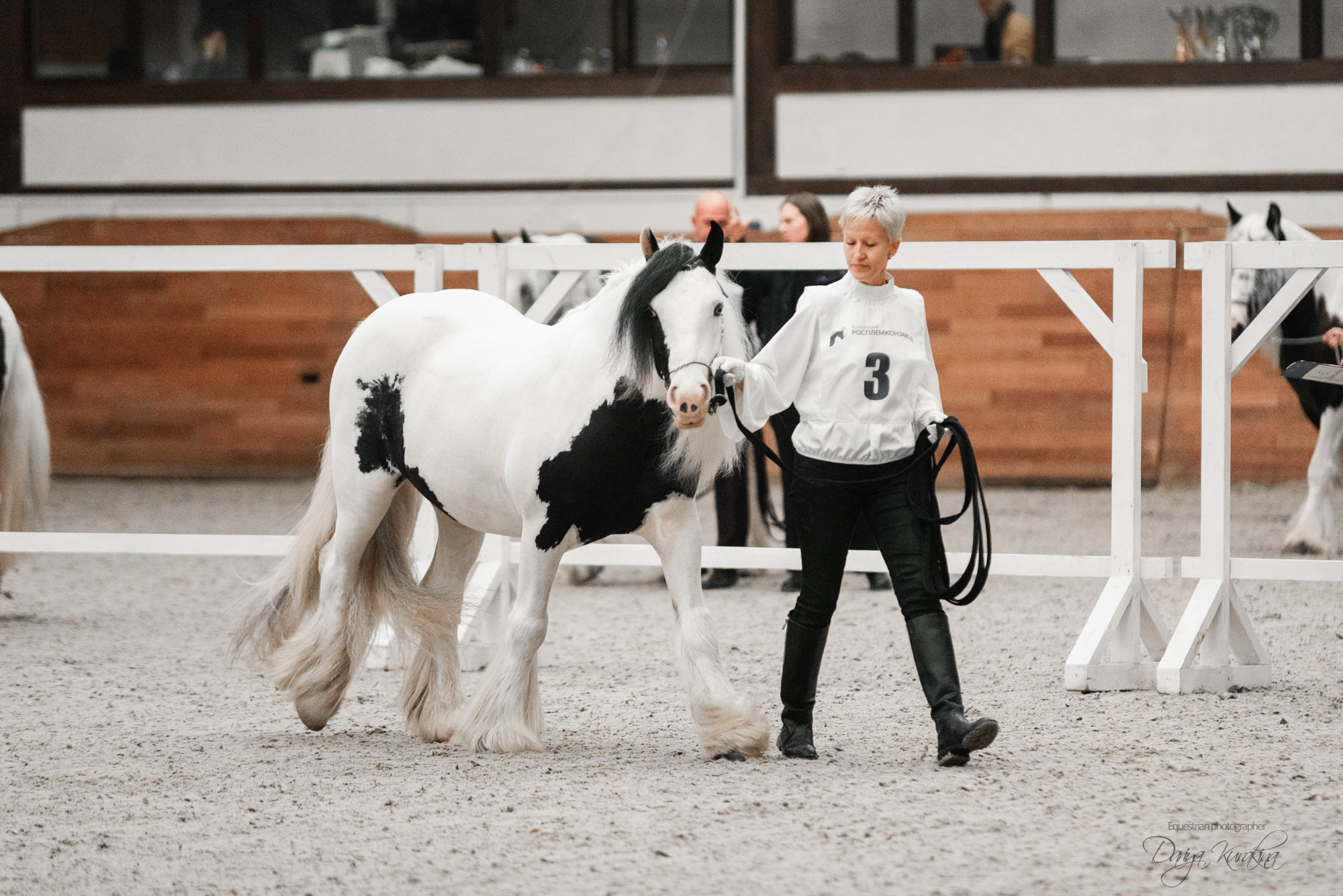 8-я международная выставка Конная Россия. Конный фотограф Куракина Дарья • Фотосессии с лошадьми