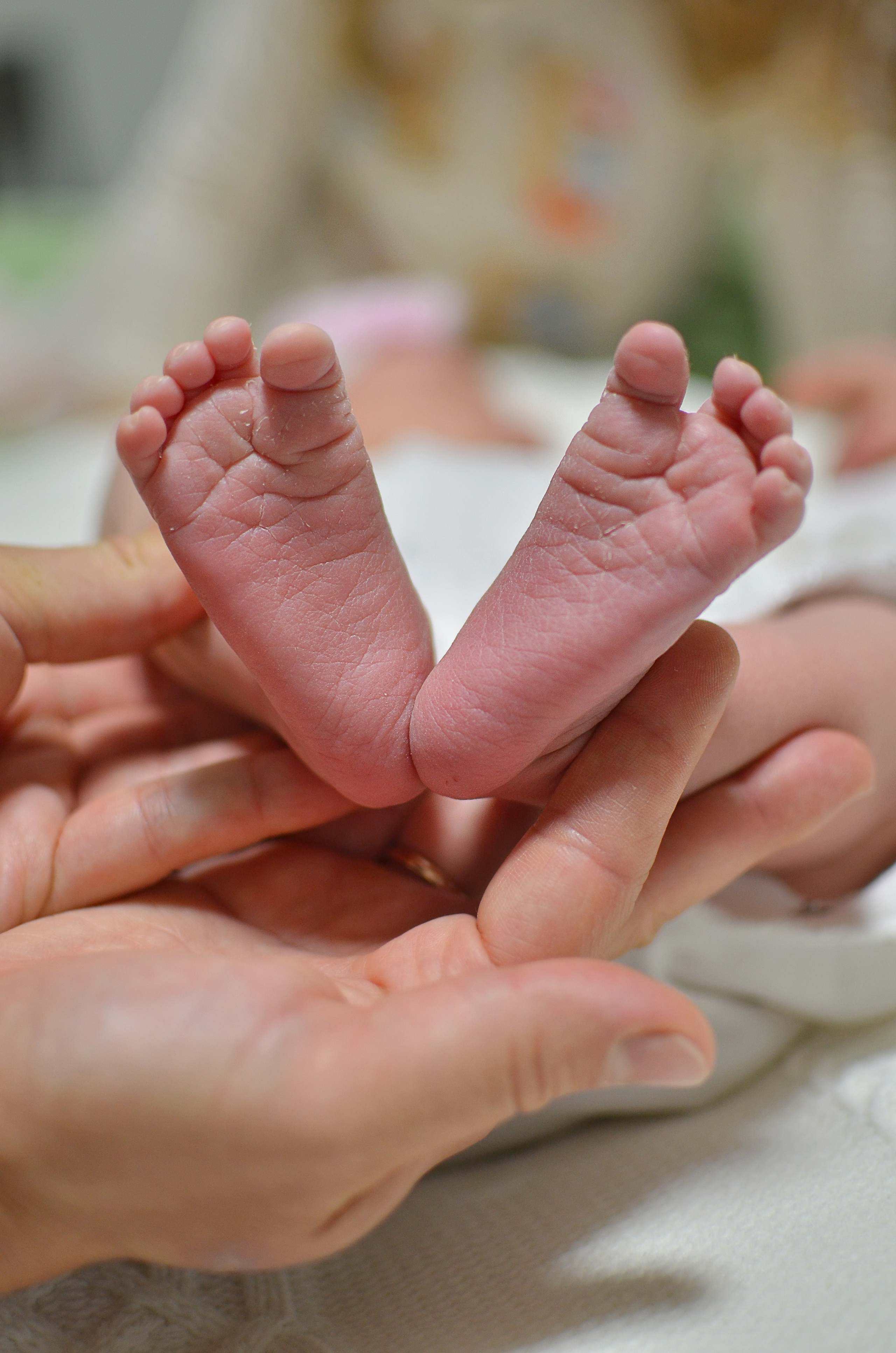 Выписка из роддома. Семейный и детский фотограф в Санкт-Петербурге Баландина Татьяна