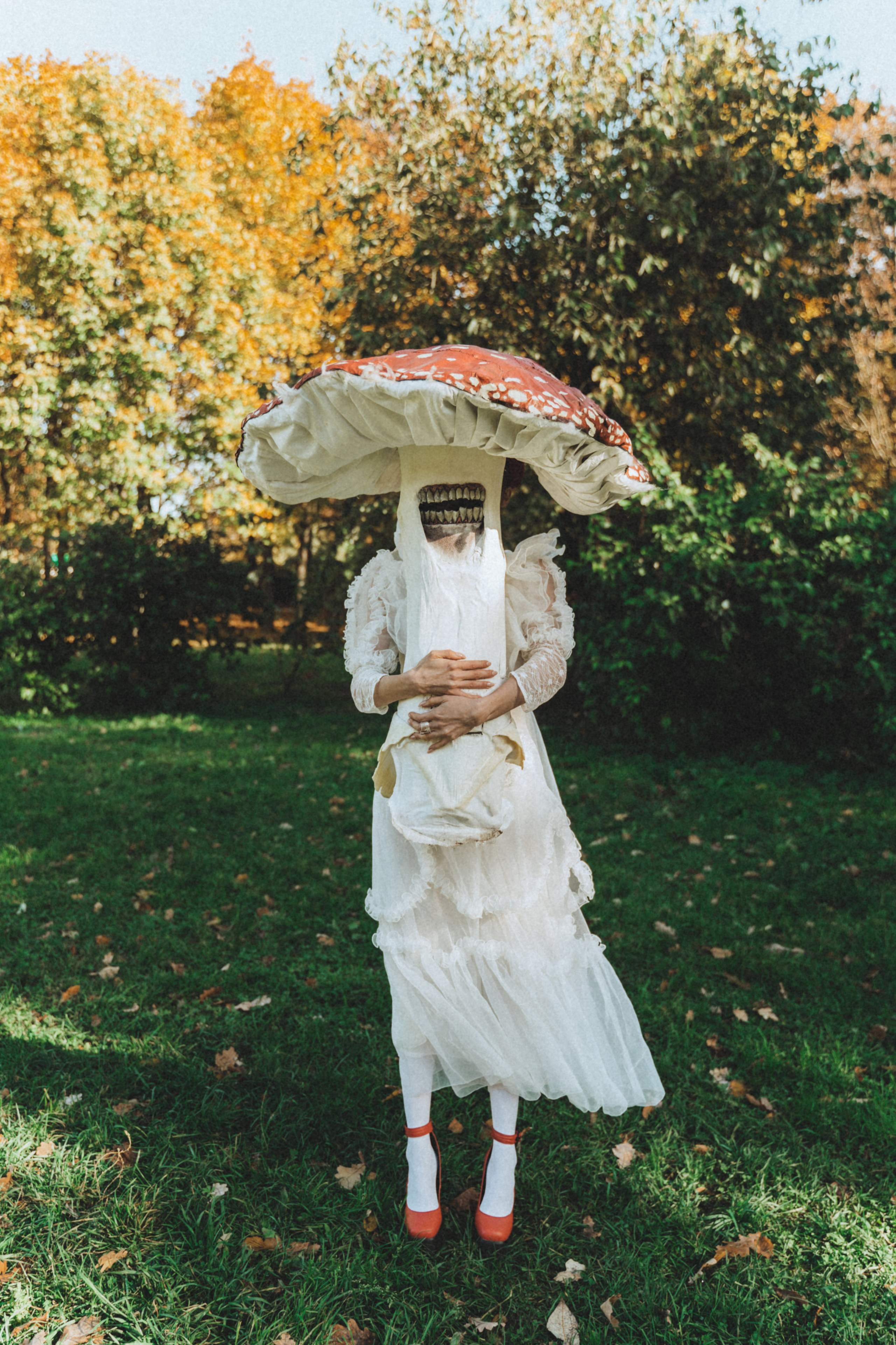 Mushroom. Фотограф в Санкт-Петербурге Диана Цой