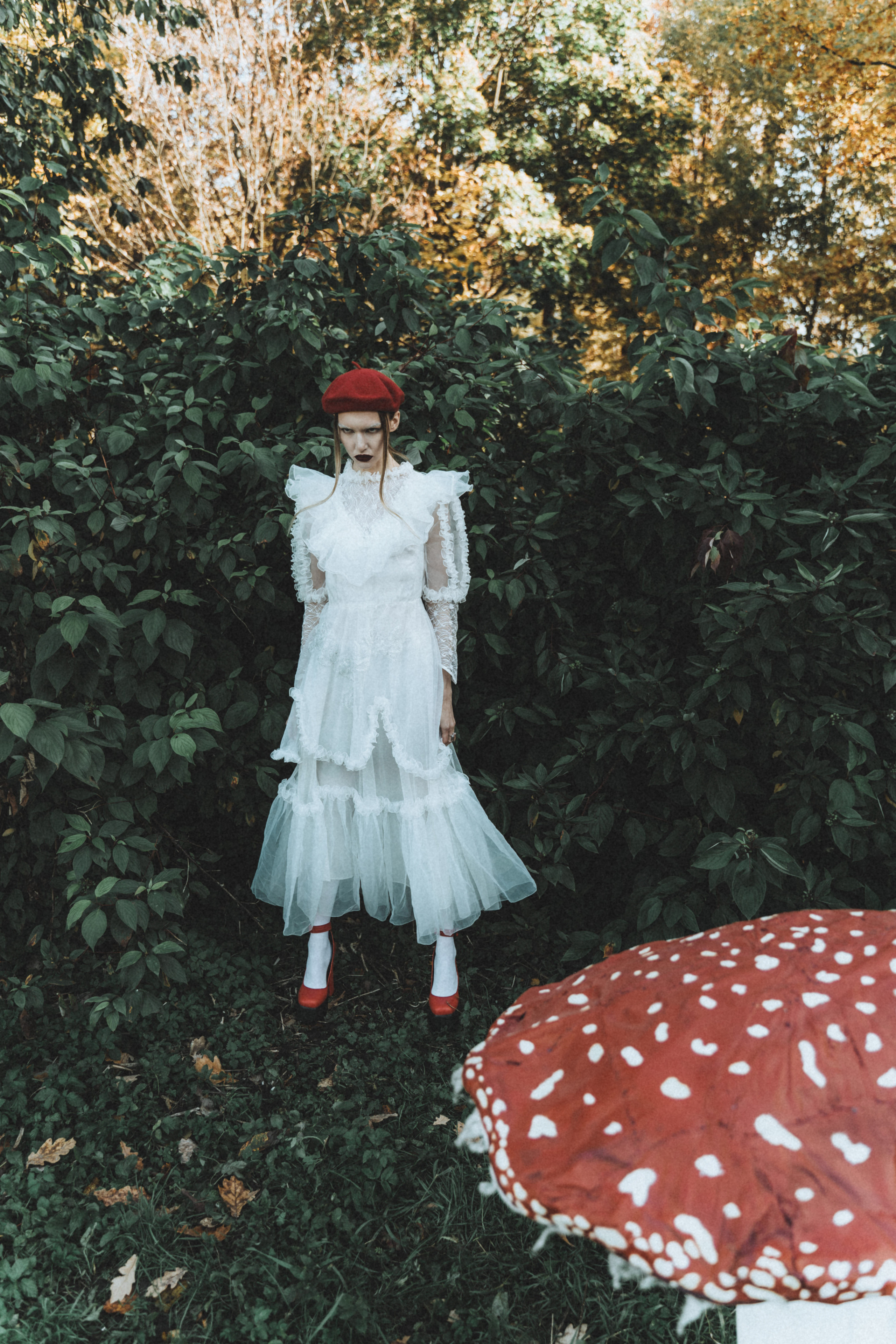 Mushroom. Фотограф в Санкт-Петербурге Диана Цой