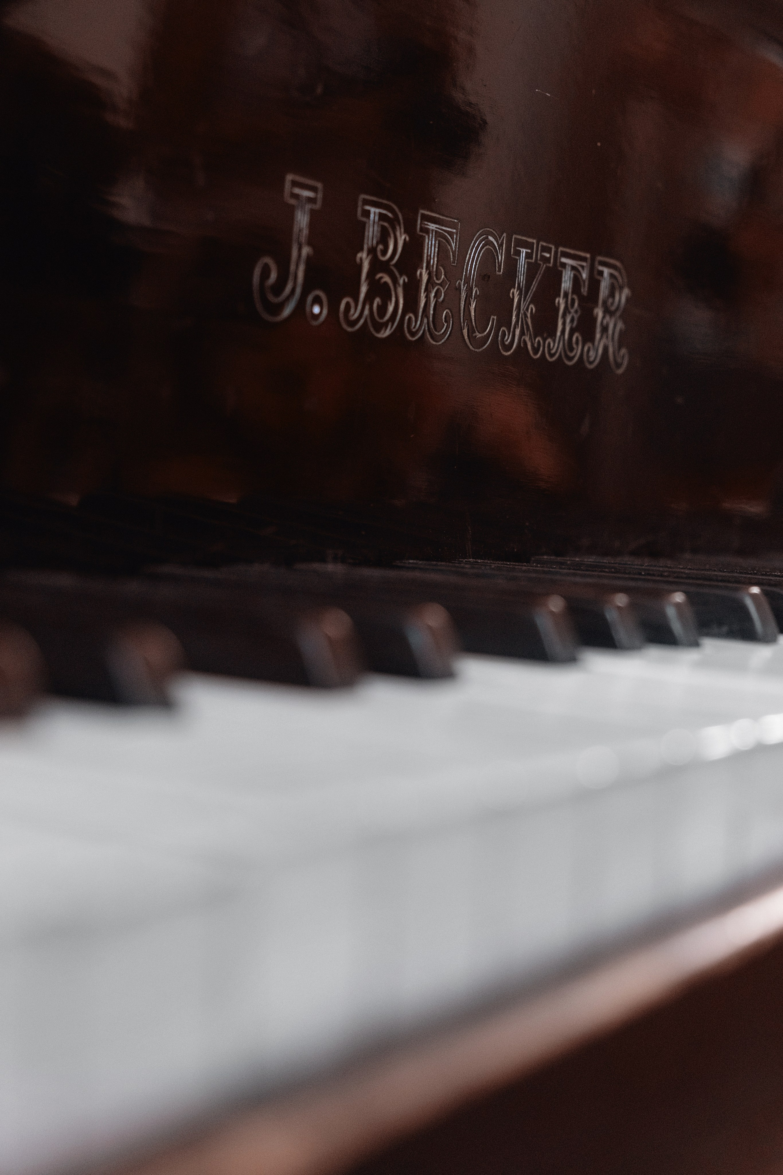 Фотосессия. Фотостудия № 1, дюна, dune, Атрейдес, Арракис. Профессиональная фотосъемка в Крыму. Натуральные эмоции и живые кадры. Забронируйте дату прямо сейчас!