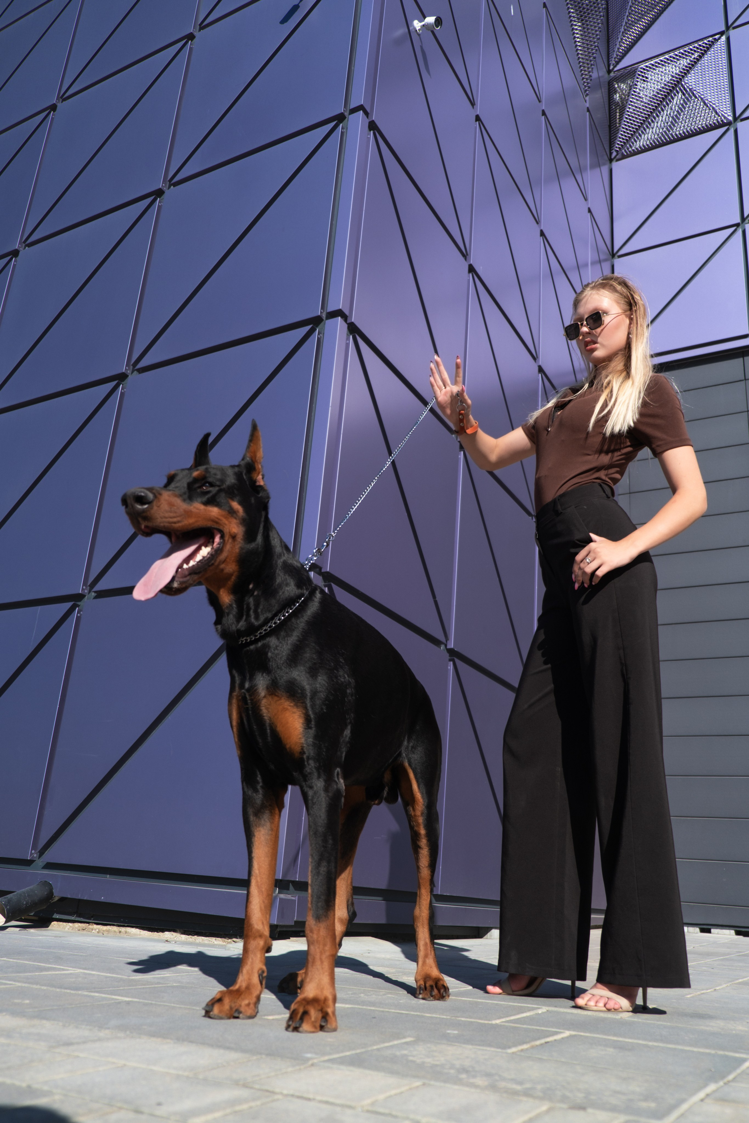 Фотосессия с Доберманом. Профессиональная фотосъемка в Крыму. Натуральные эмоции и живые кадры. Забронируйте дату прямо сейчас!