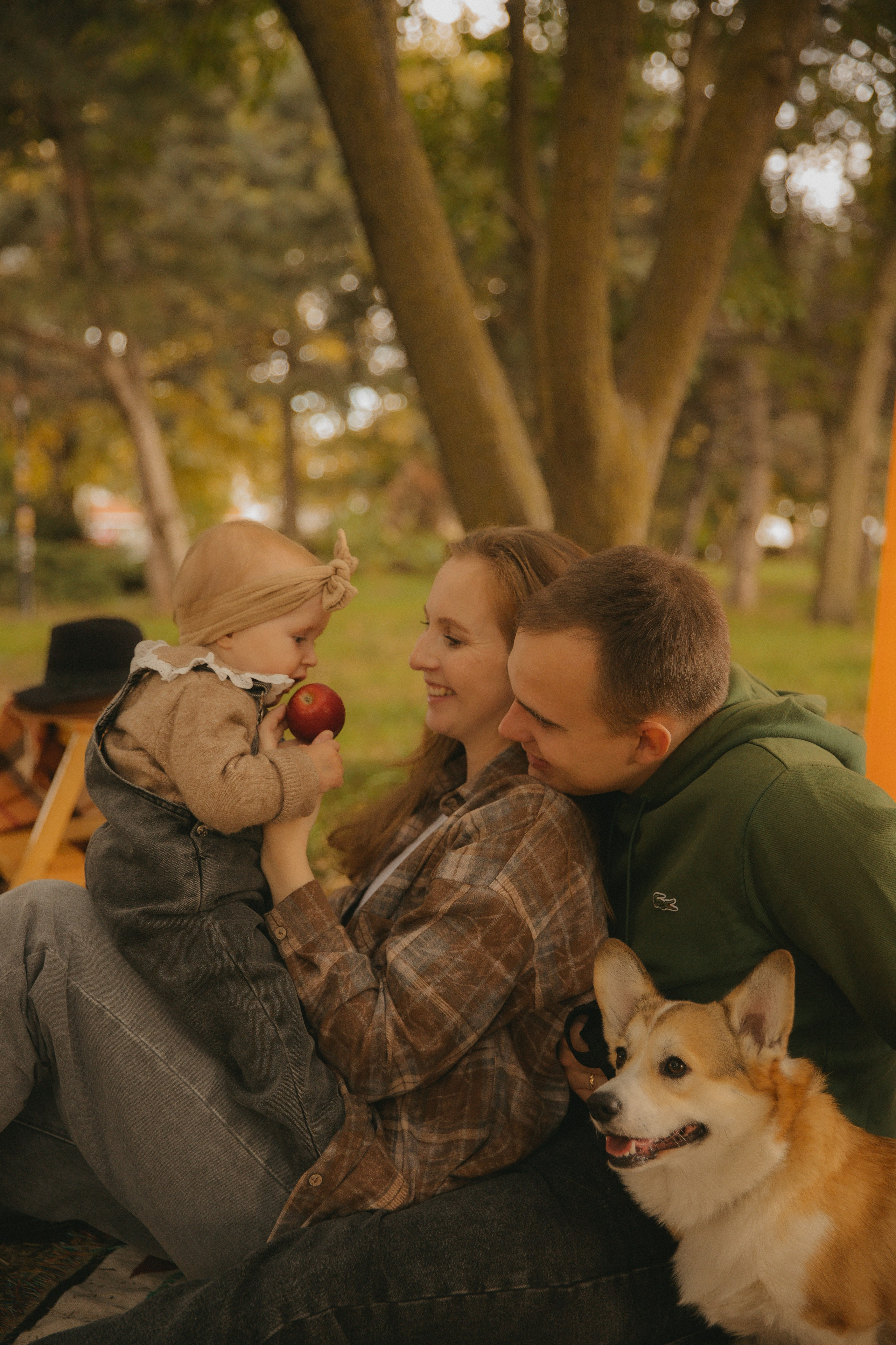 Фотопроект с корги