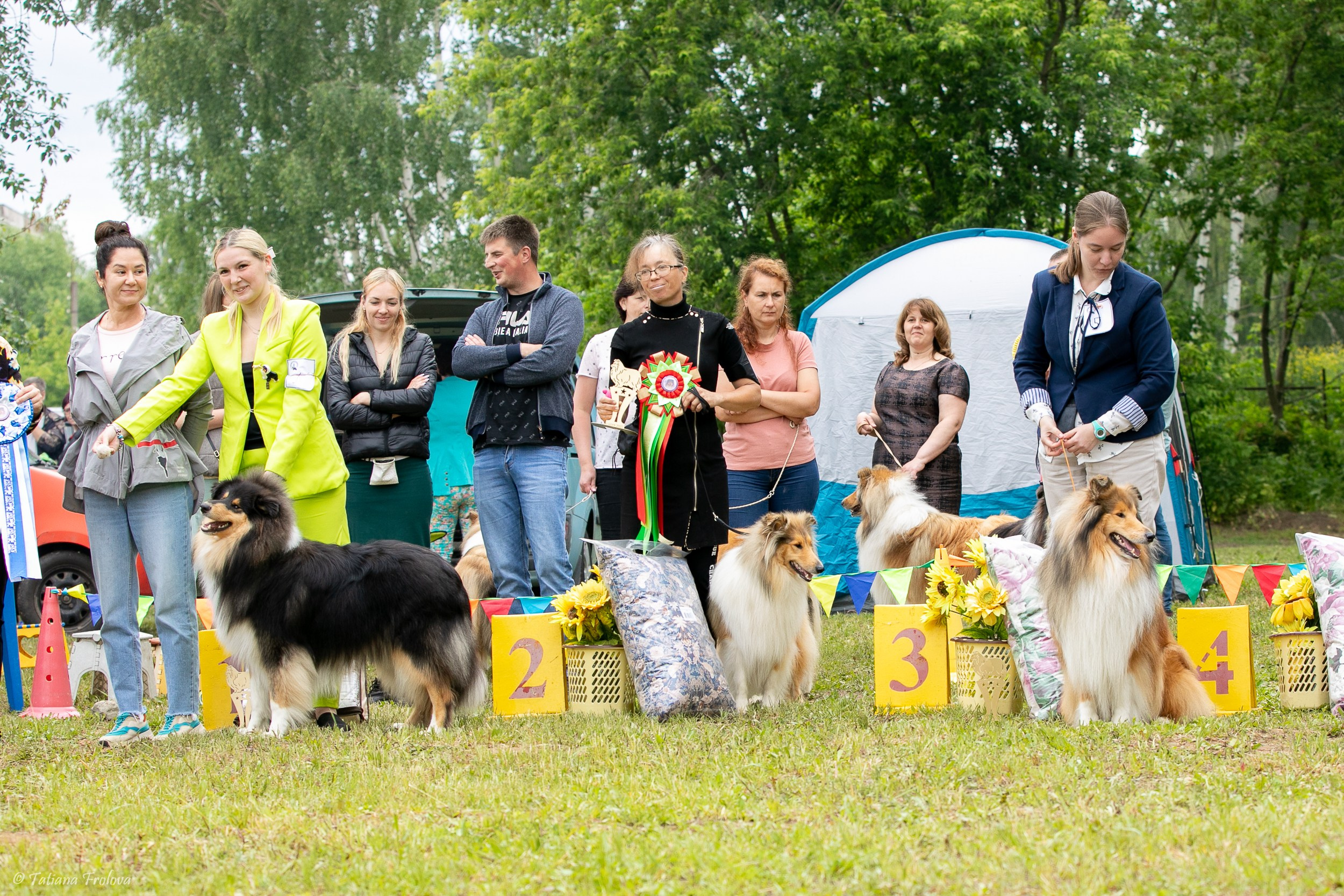 Фотосопровождение выставки собак в Московской области и Москве. Фотограф-анималист в Москве и Московской области Татьяна Фролова