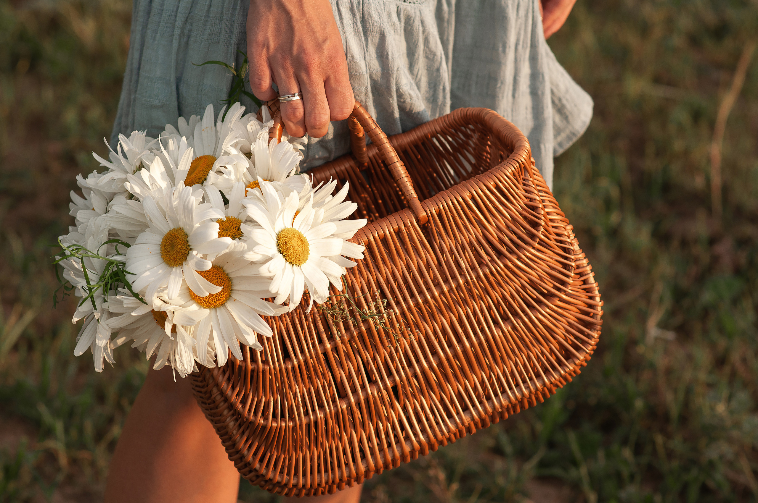 Анюта, Тасенька, Слава. Полынь, радуга, ромашки. НН. Детский и семейный фотограф Катерина Мишина