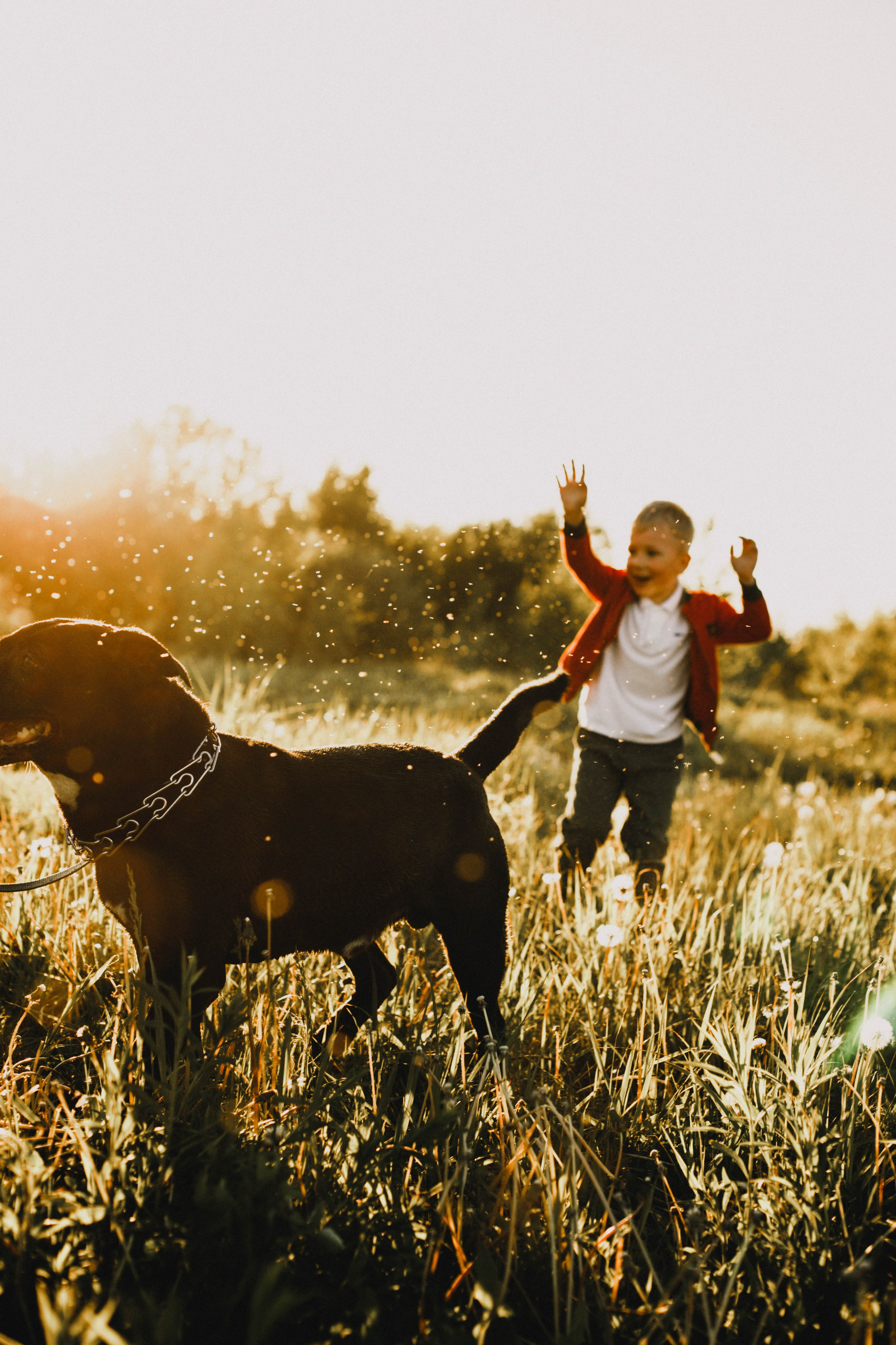 Гера и Примус. Фотограф в Нижнем Новгороде