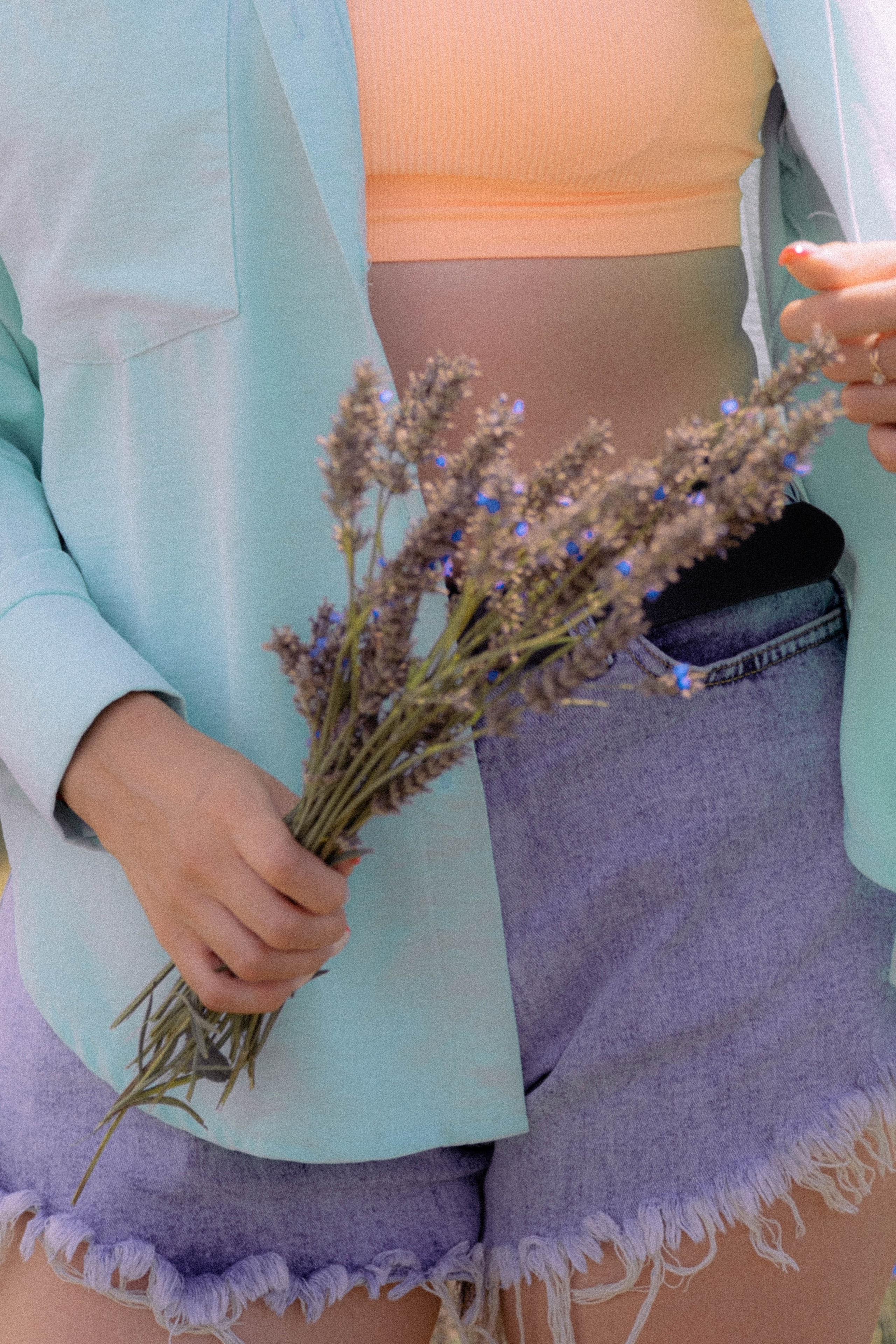 ЛАВАНВОДОВОЕ ПОЛЕ. Профессиональный фотограф, Санкт-Петербург — Виктория Богомолова