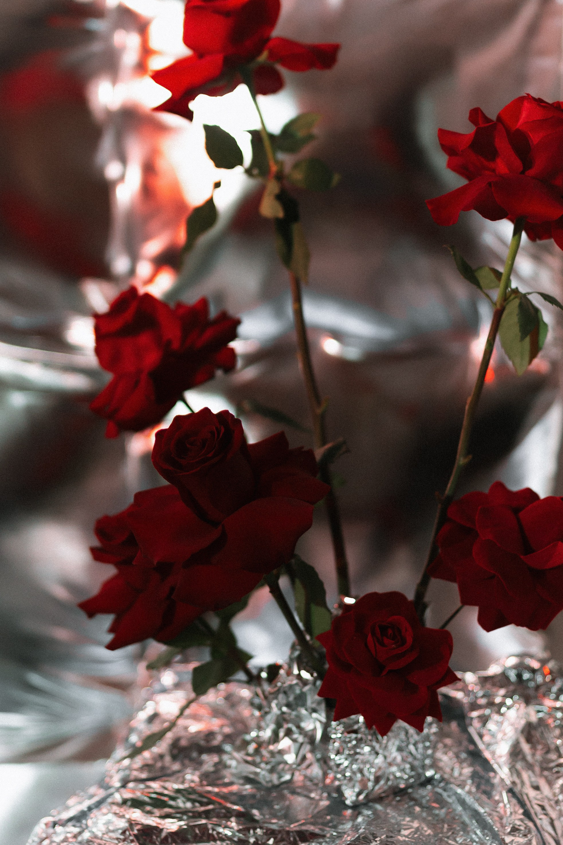 For love. Ланемец Юлия — фотограф Волгоград/Волжский