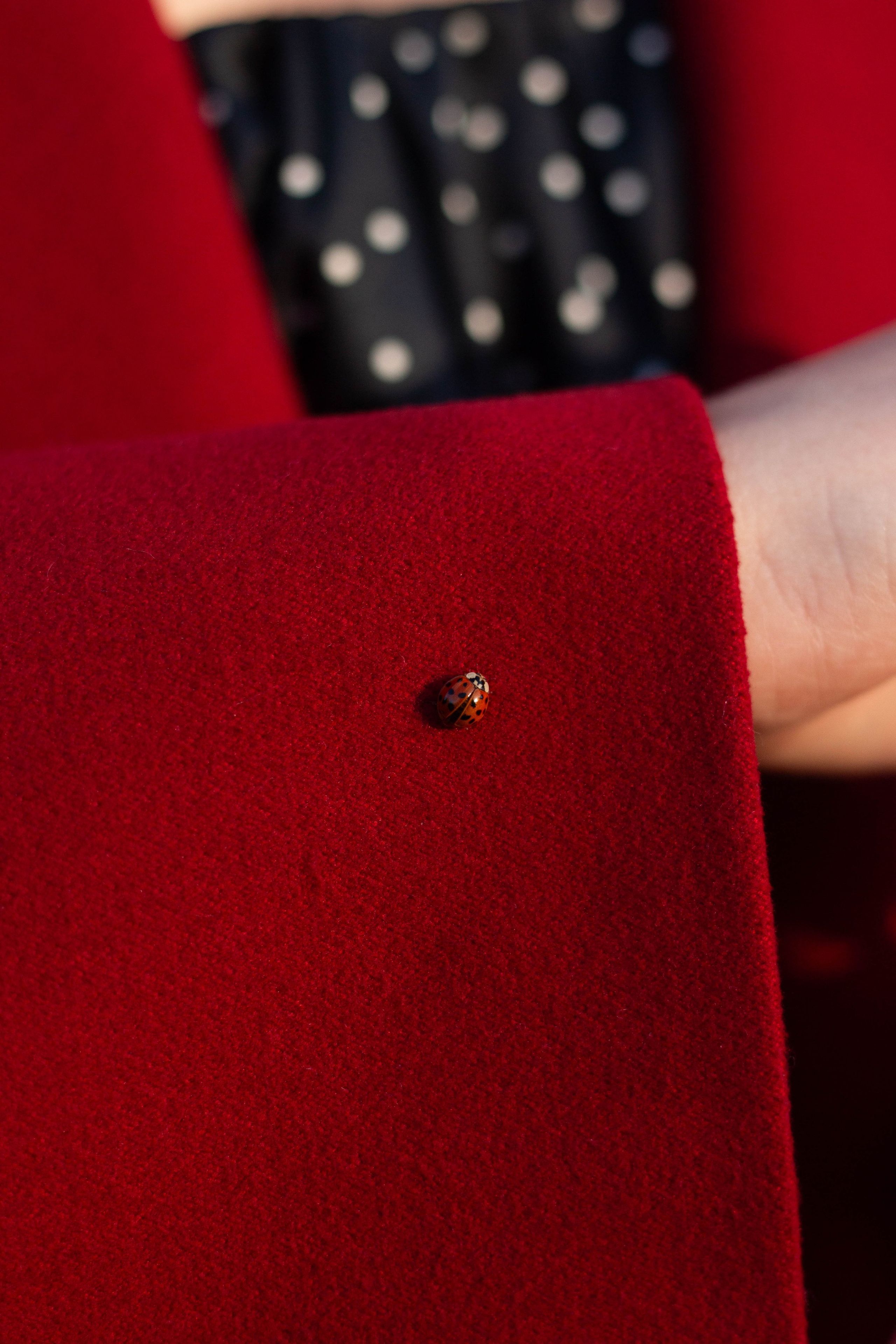 Мария. Осень в Риге. Бережно сохраняю ваши чувства и истории на своих фотографиях