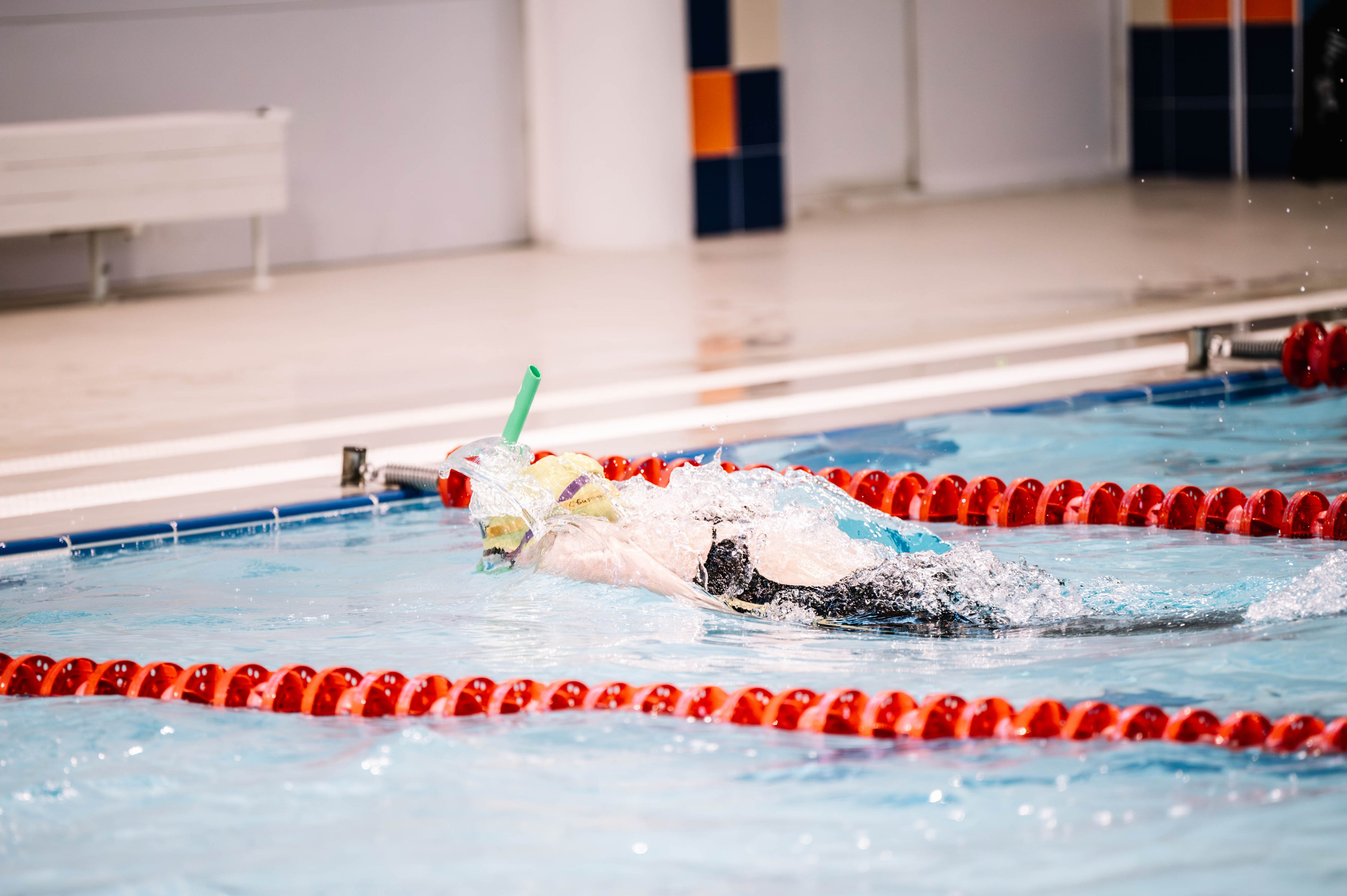 Первый этап кубка плавания, Дельфин. Октябрь, 2024. Спортивный фотограф в Туле и Тульской области. Файсханова Фото Спорт