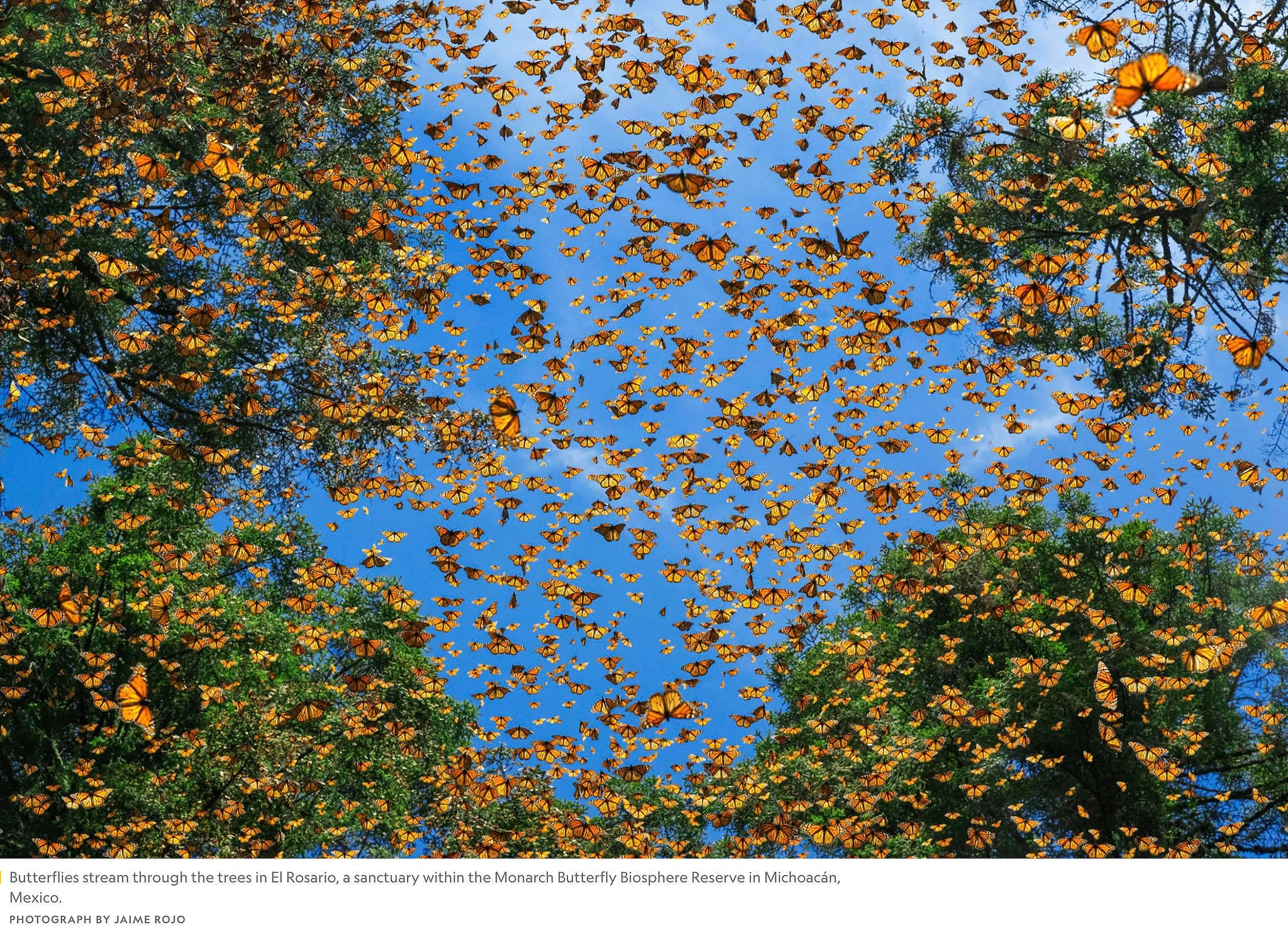 Глубокий проект про воду. Фотограф Михаил Мордасов, Сочи. Мероприятия, портреты, спорт, репортаж