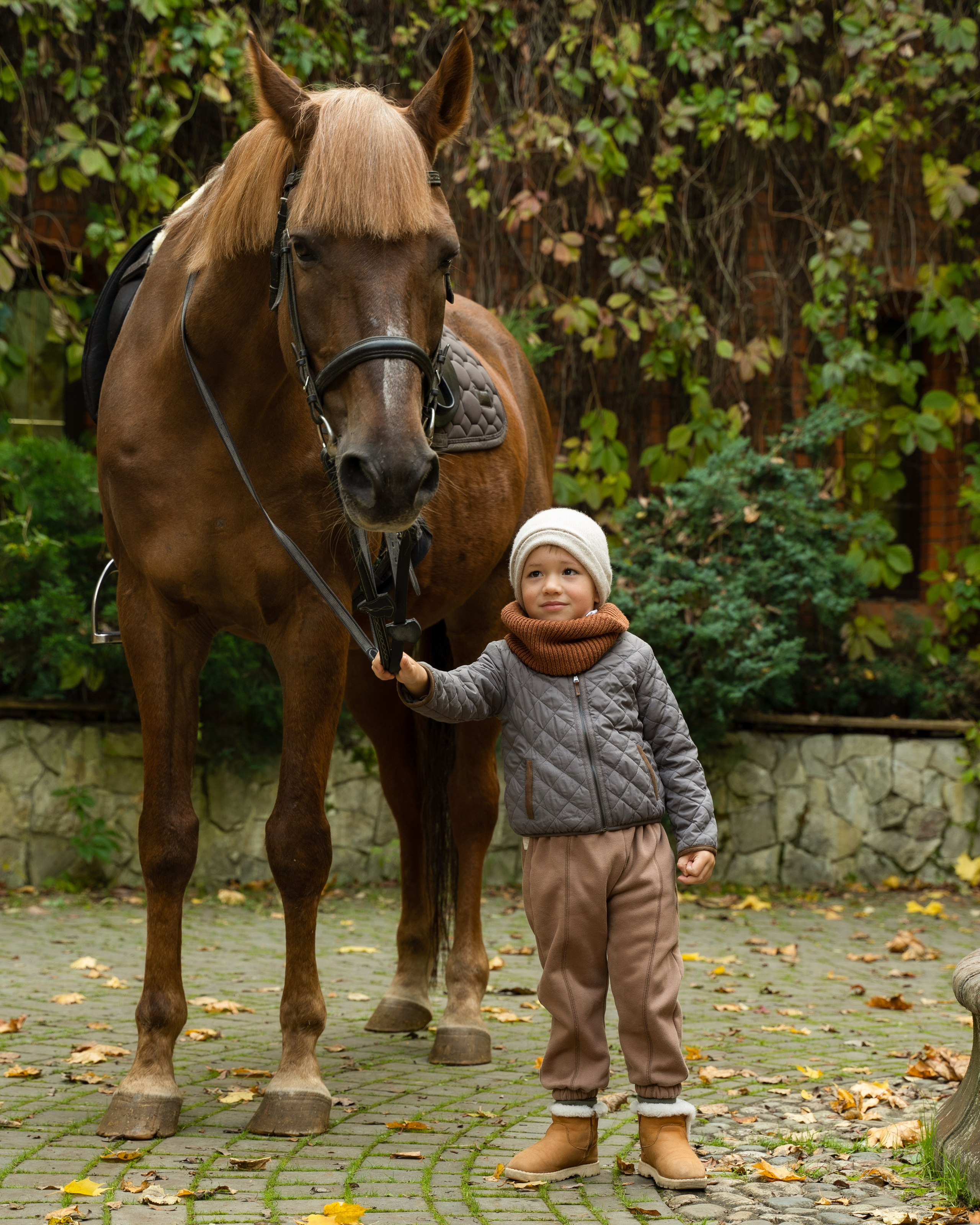 Фотосессия с лошадьми. Главная