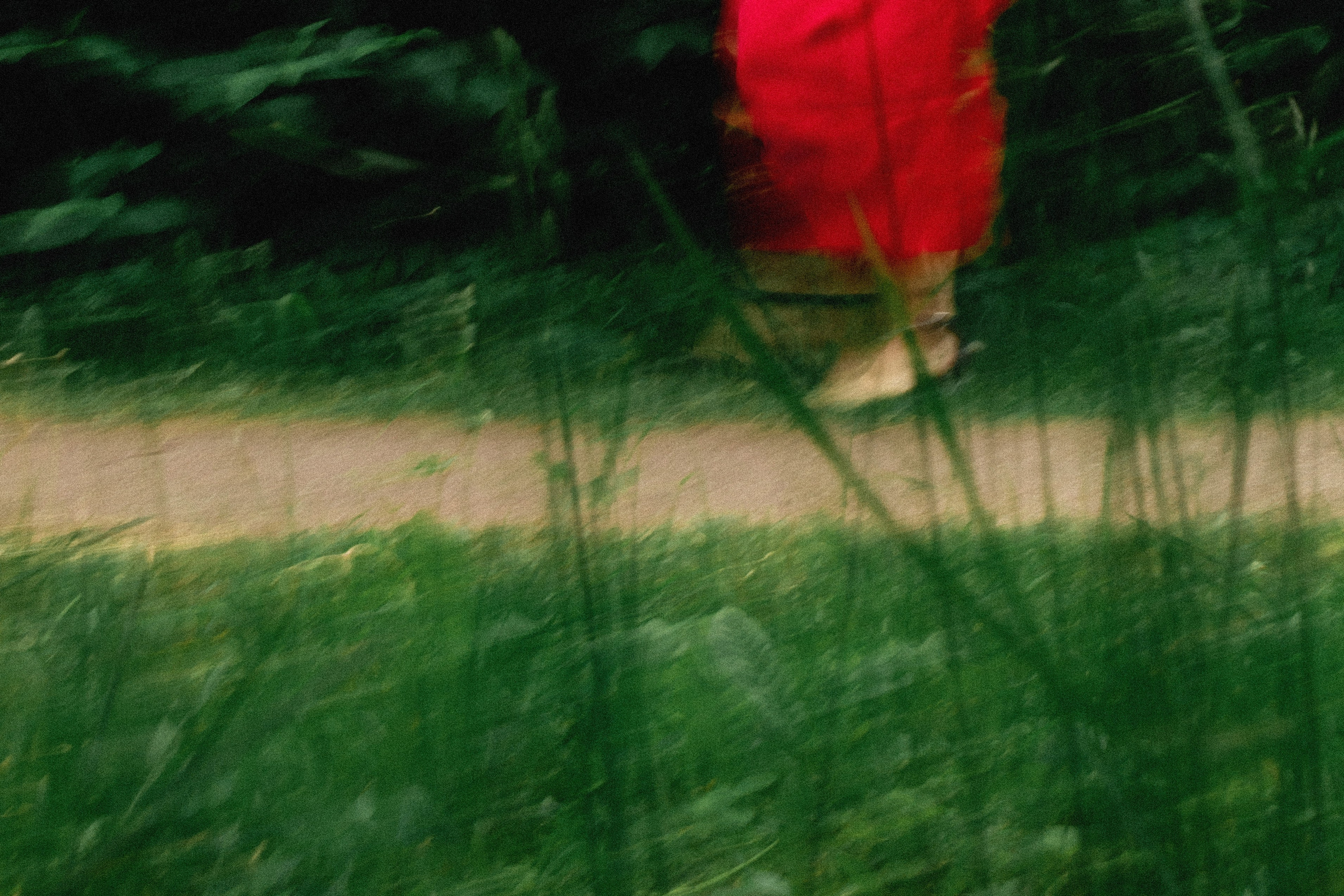 Эстетика П р о Я в л е н и я. Виноградова Маргарита. Фотограф P r o Явления