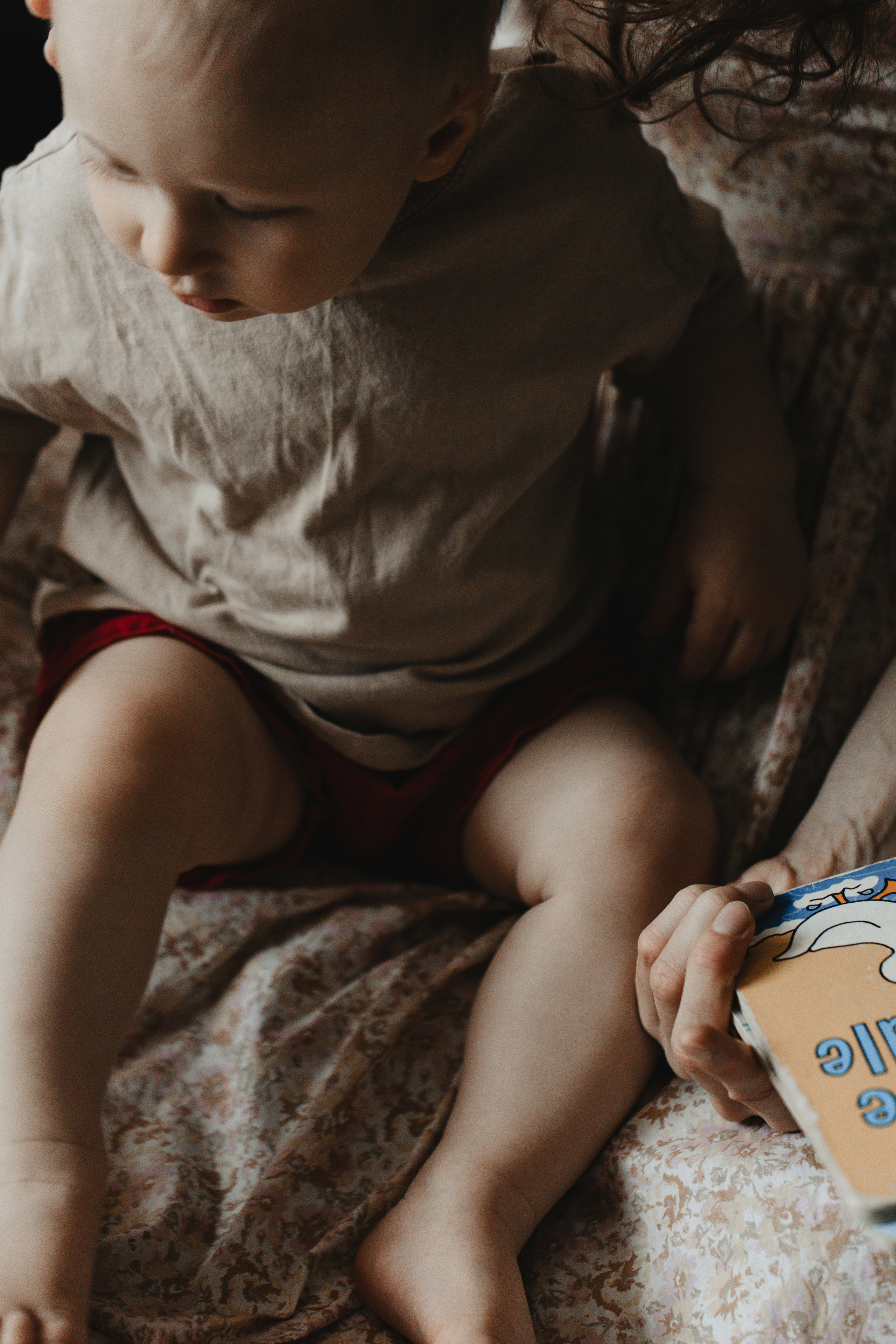 Miron. Anastasiya Krasnyuk