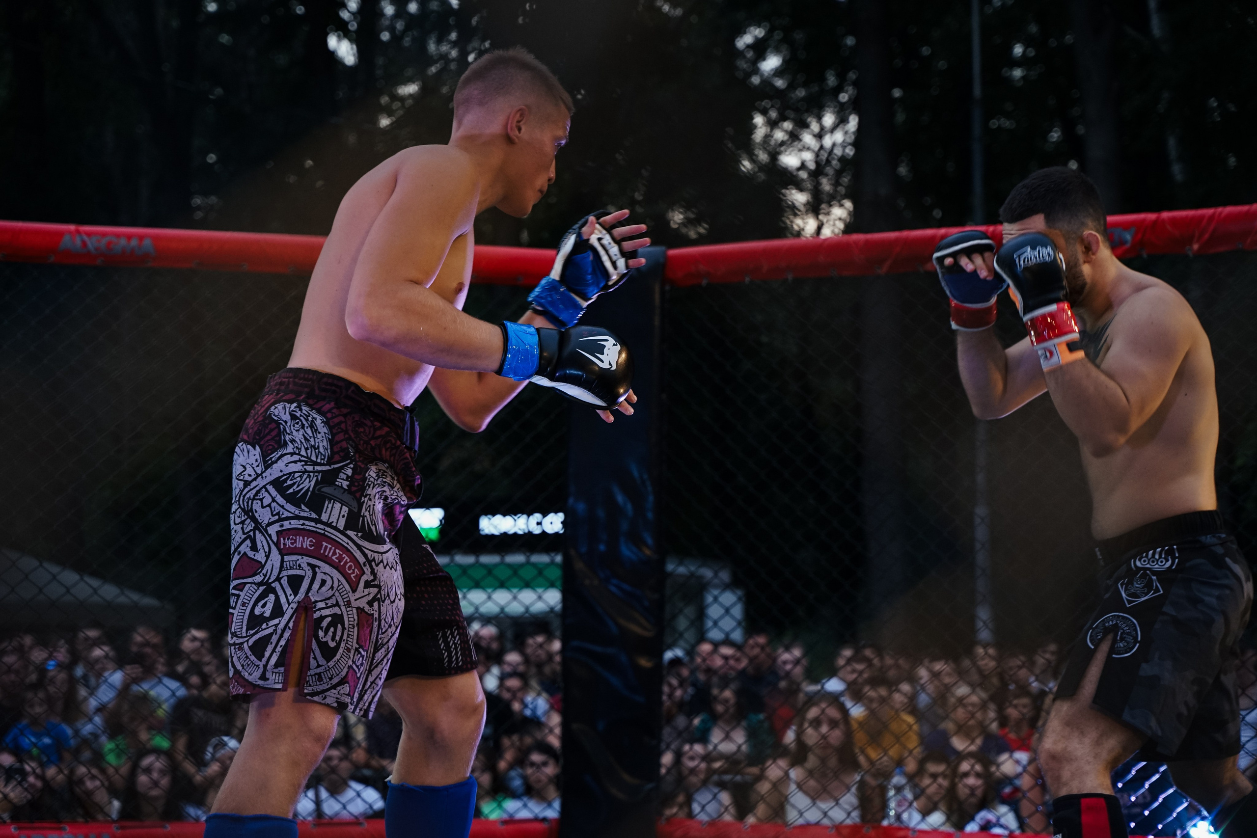 Вечер боев в ЦПКиО. Фотограф Надежда Погребняк | Рязань | Москва