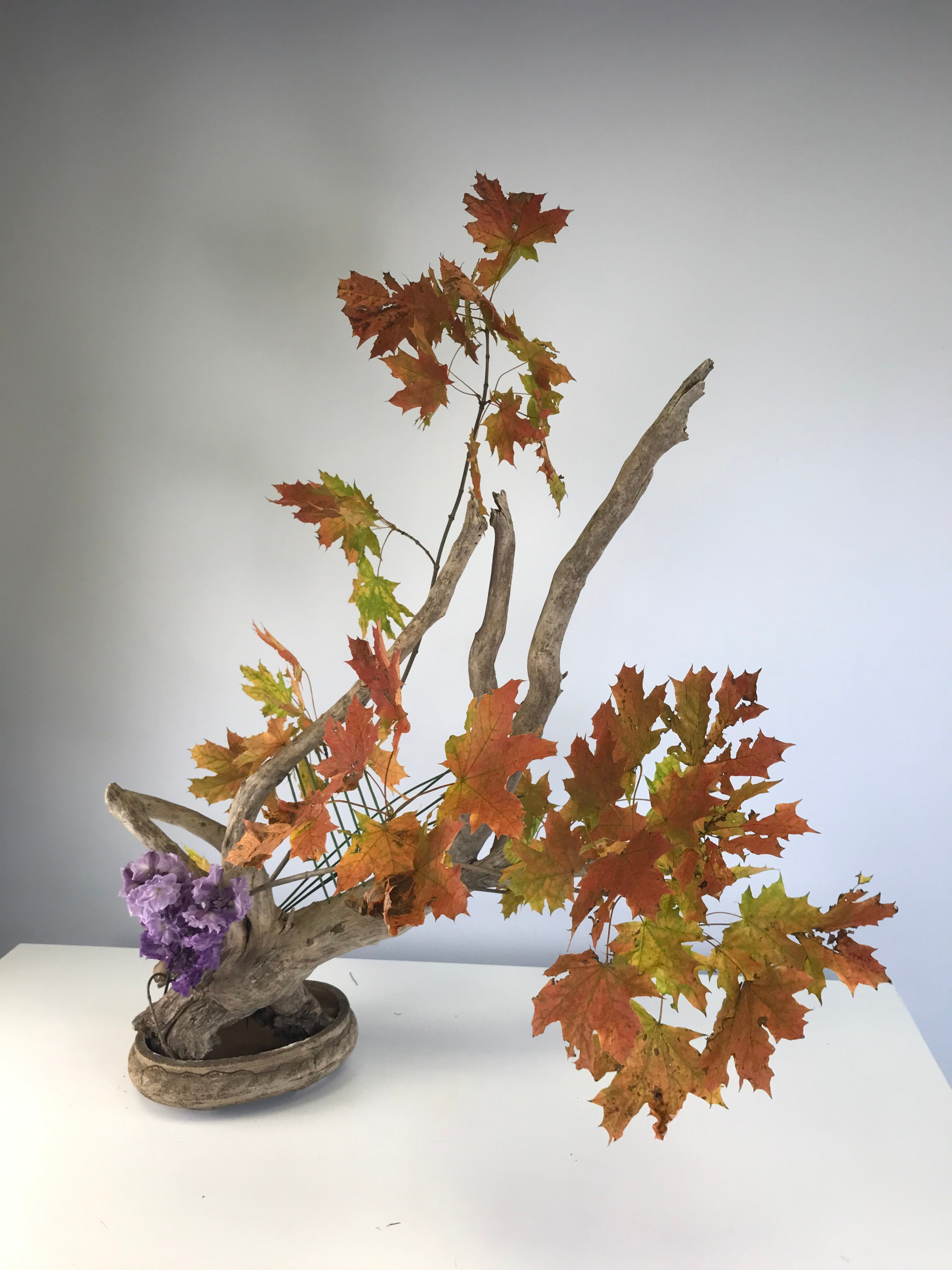 Икэбана Барне. Фотограф Анна Барне