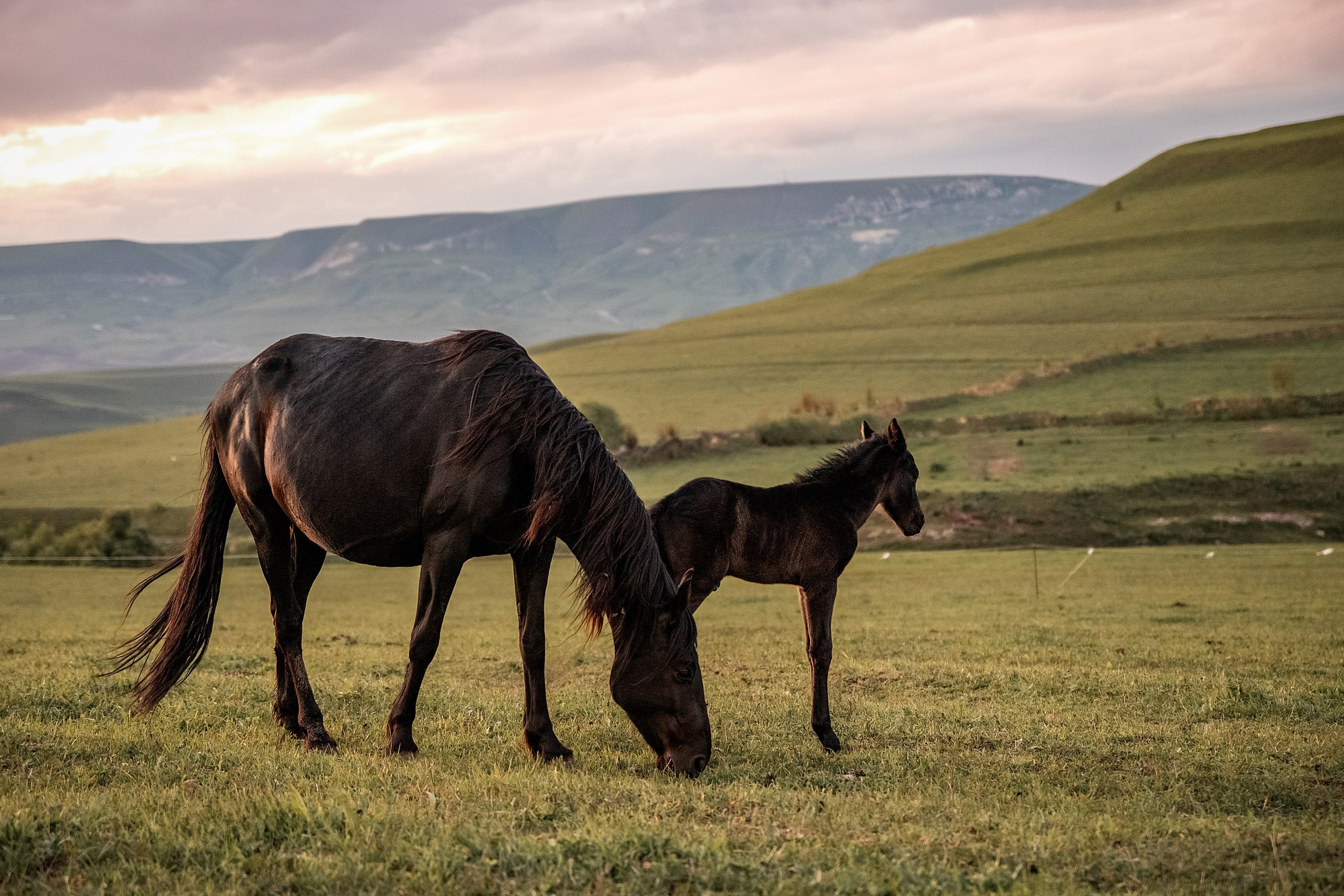 Майское закатное. BrisArts