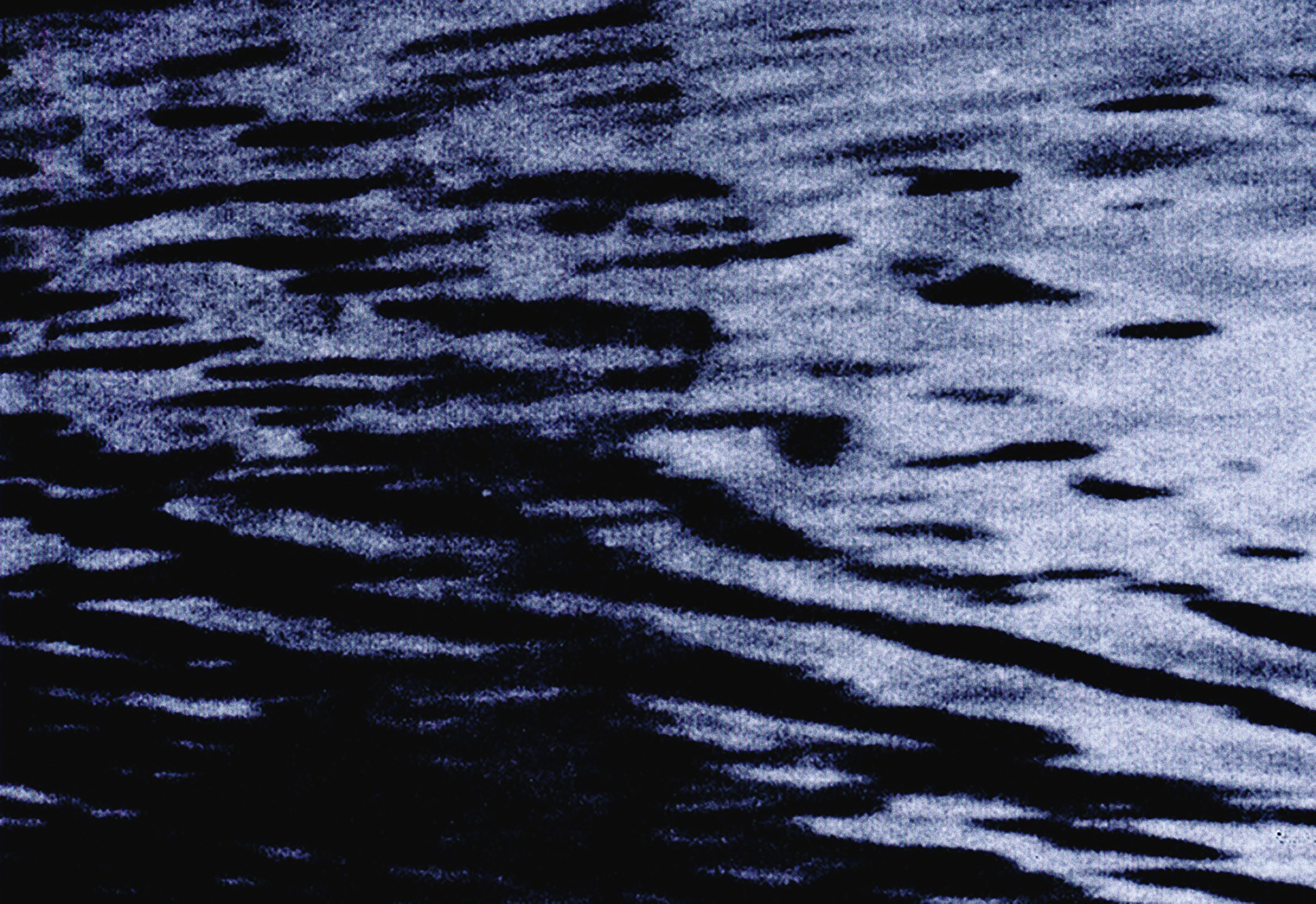 Света Каверина | I am the Sea. Private image