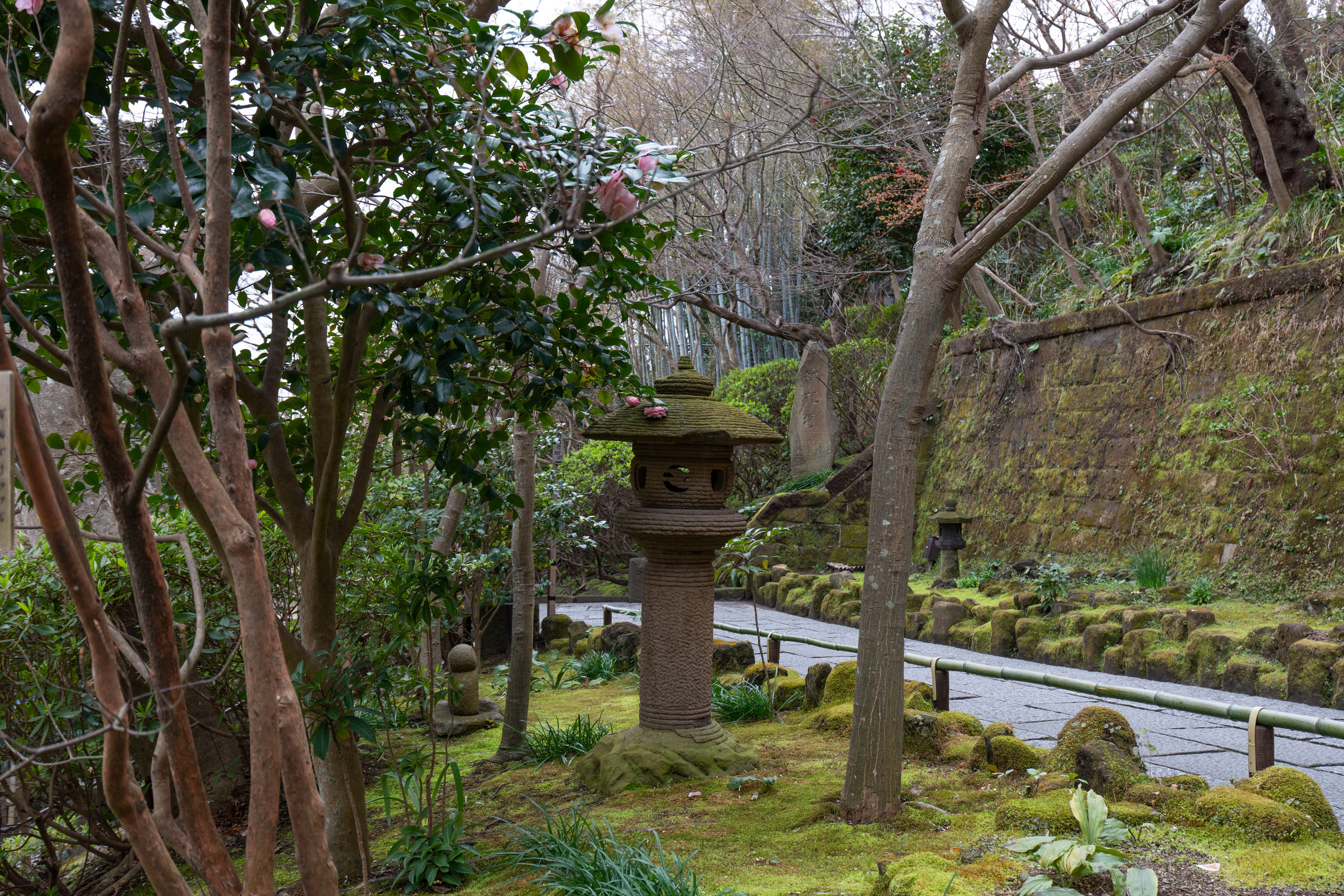 Япония. Владислав Ежокин — travel-фотограф