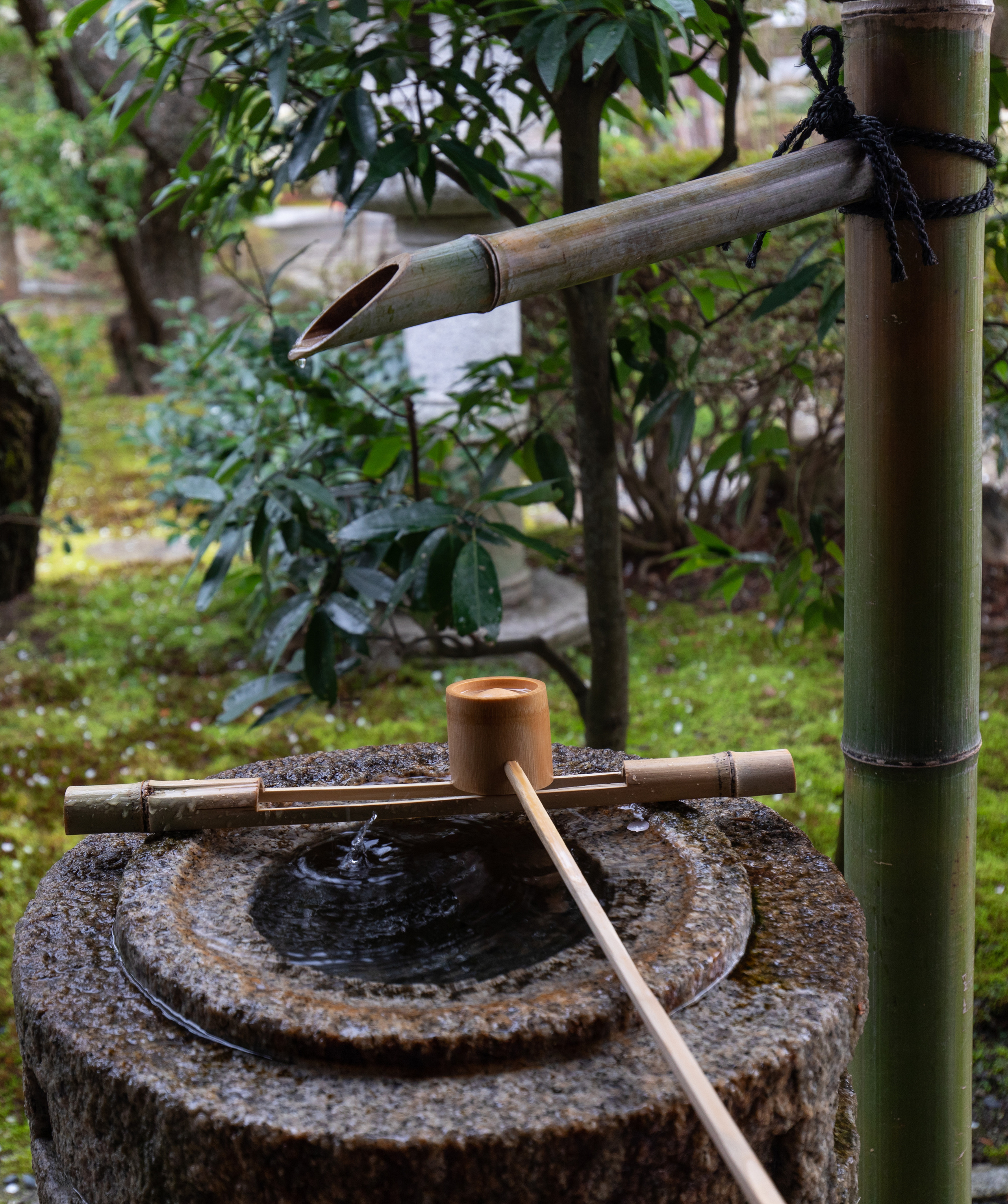 Япония. Владислав Ежокин — travel-фотограф