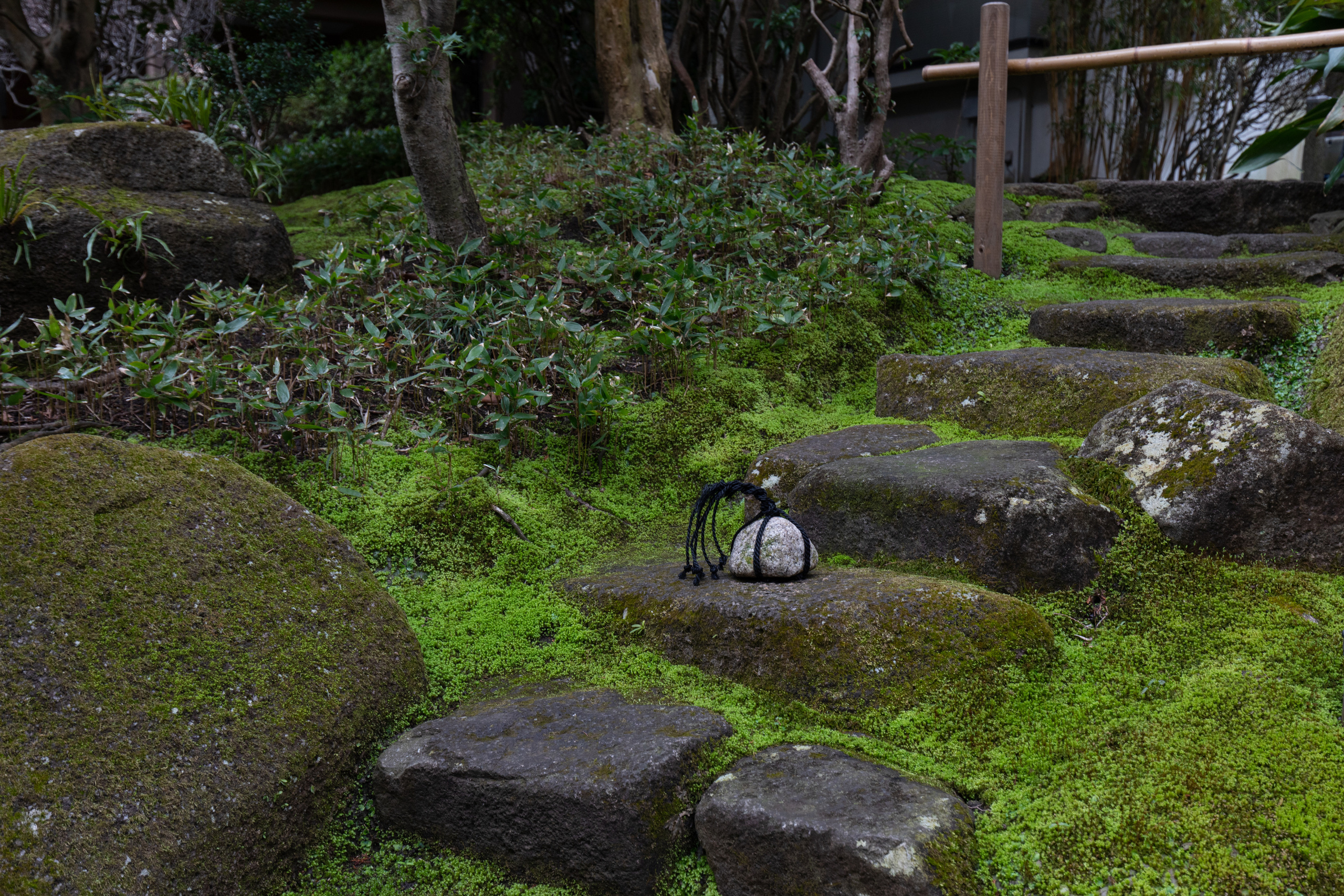 Япония. Владислав Ежокин — travel-фотограф