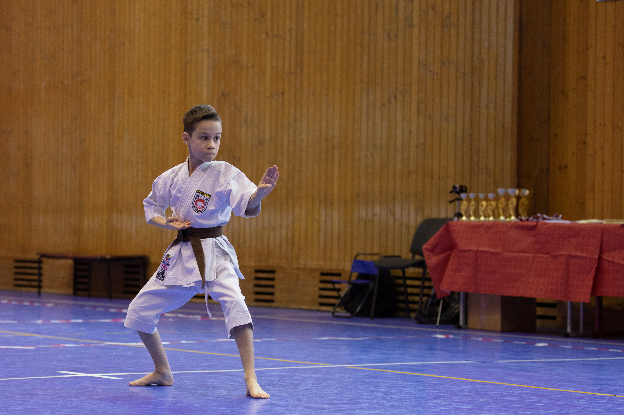 Тайкай. Каратэ. Владислав Ежокин — travel-фотограф