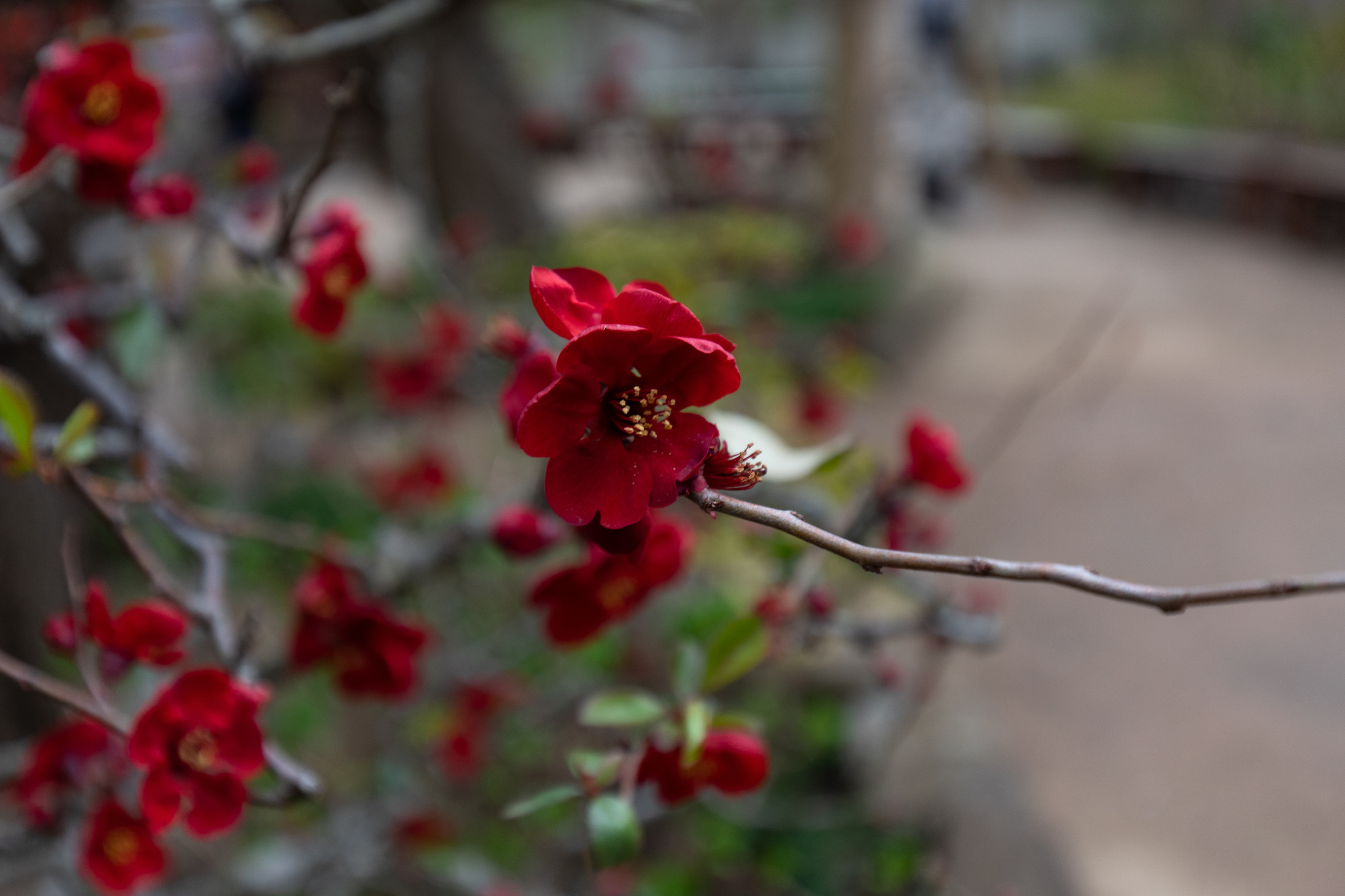 Япония. Владислав Ежокин — travel-фотограф