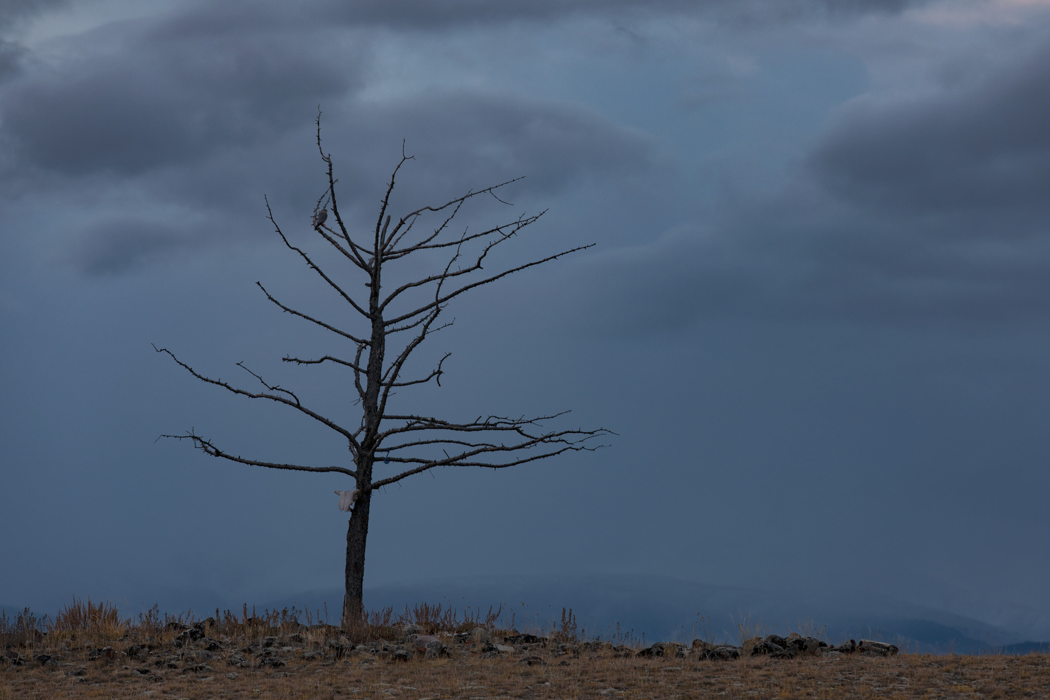 Алтай. Россия. Владислав Ежокин — travel-фотограф