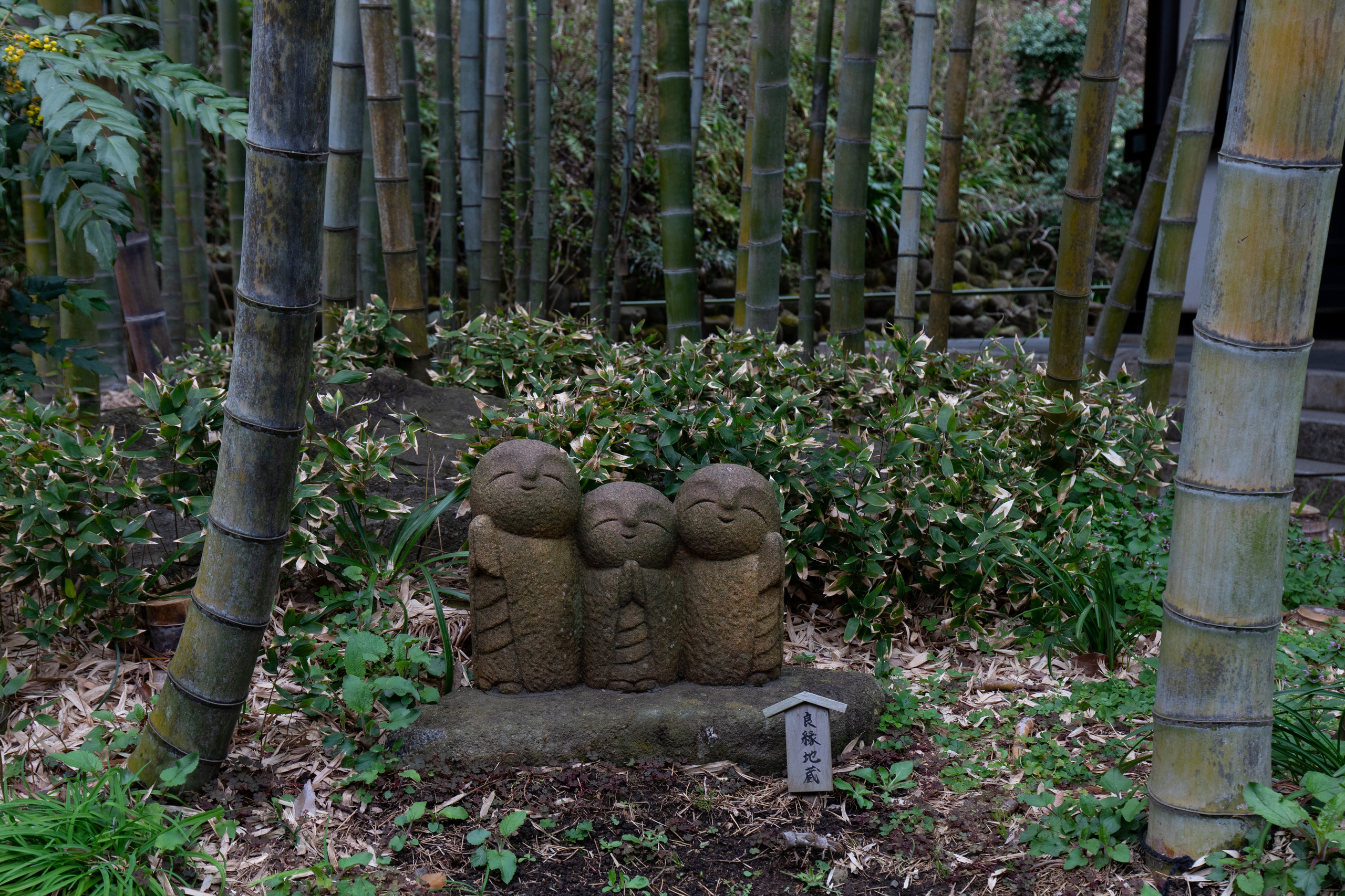 Япония. Владислав Ежокин — travel-фотограф