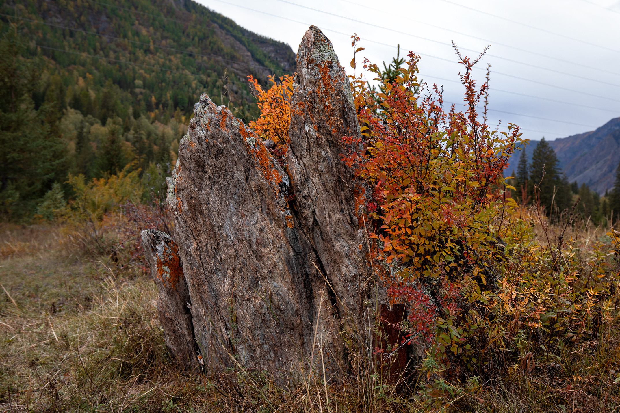 Алтай. Россия. Владислав Ежокин — travel-фотограф