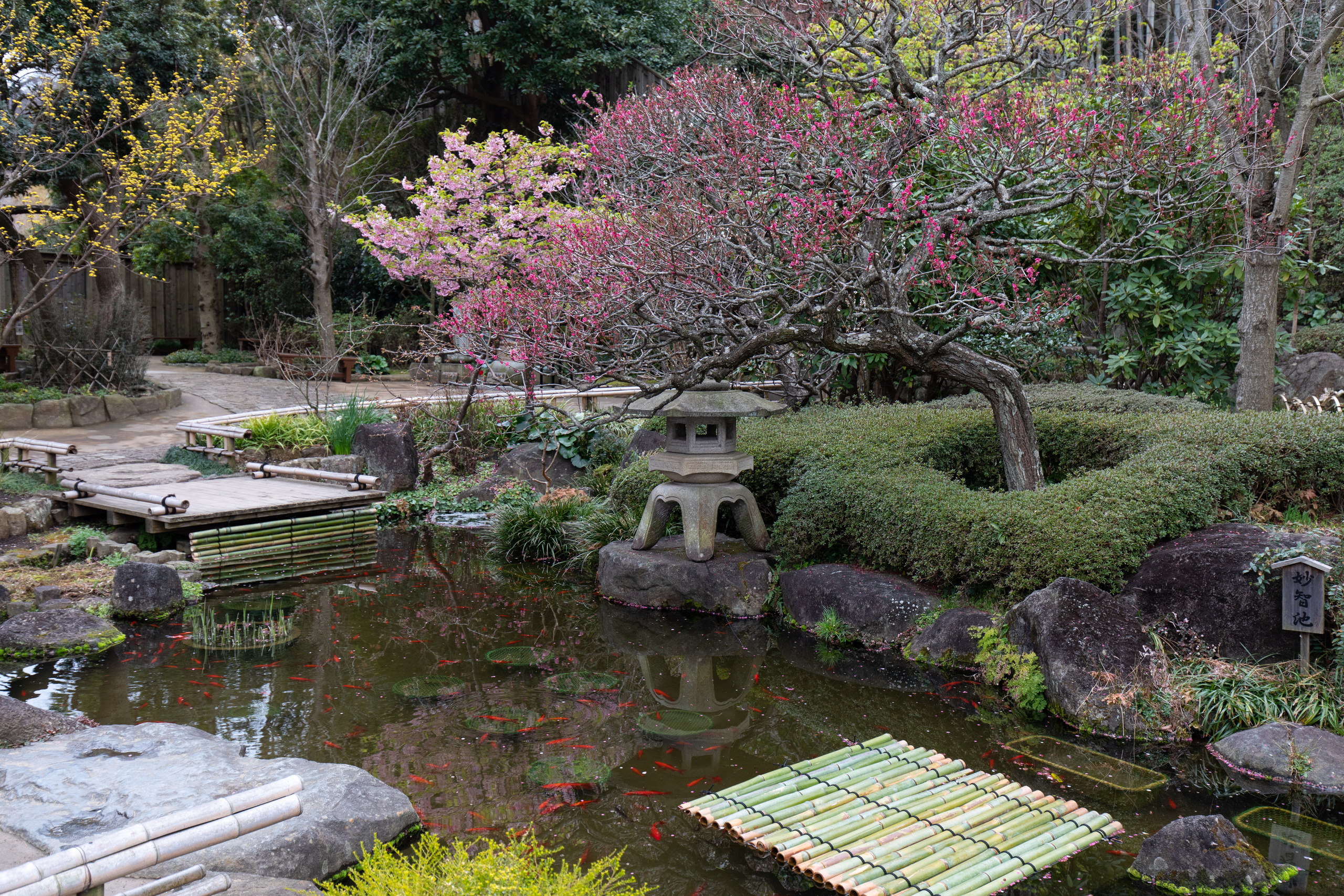 Япония. Владислав Ежокин — travel-фотограф