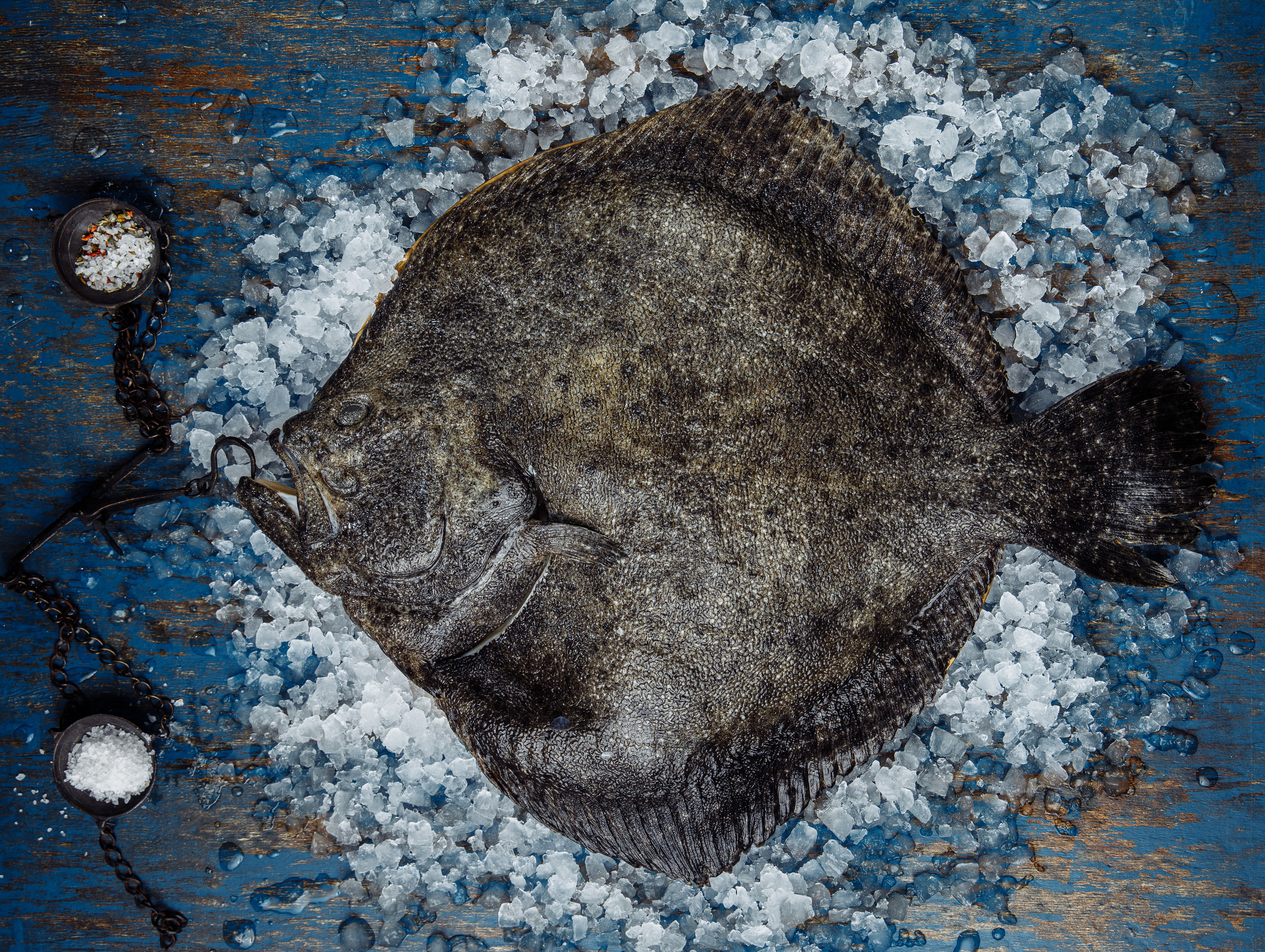 Наружная реклама для рыбного ресторана. Предметная и фуд-фотография в Екатеринбурге Екатерина Ковалева