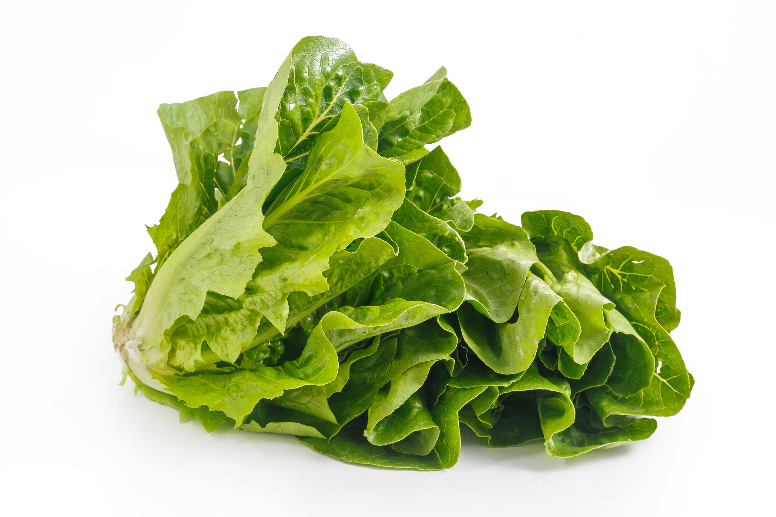 Каталог. Предметная и фуд-фотография в Екатеринбурге Екатерина Ковалева