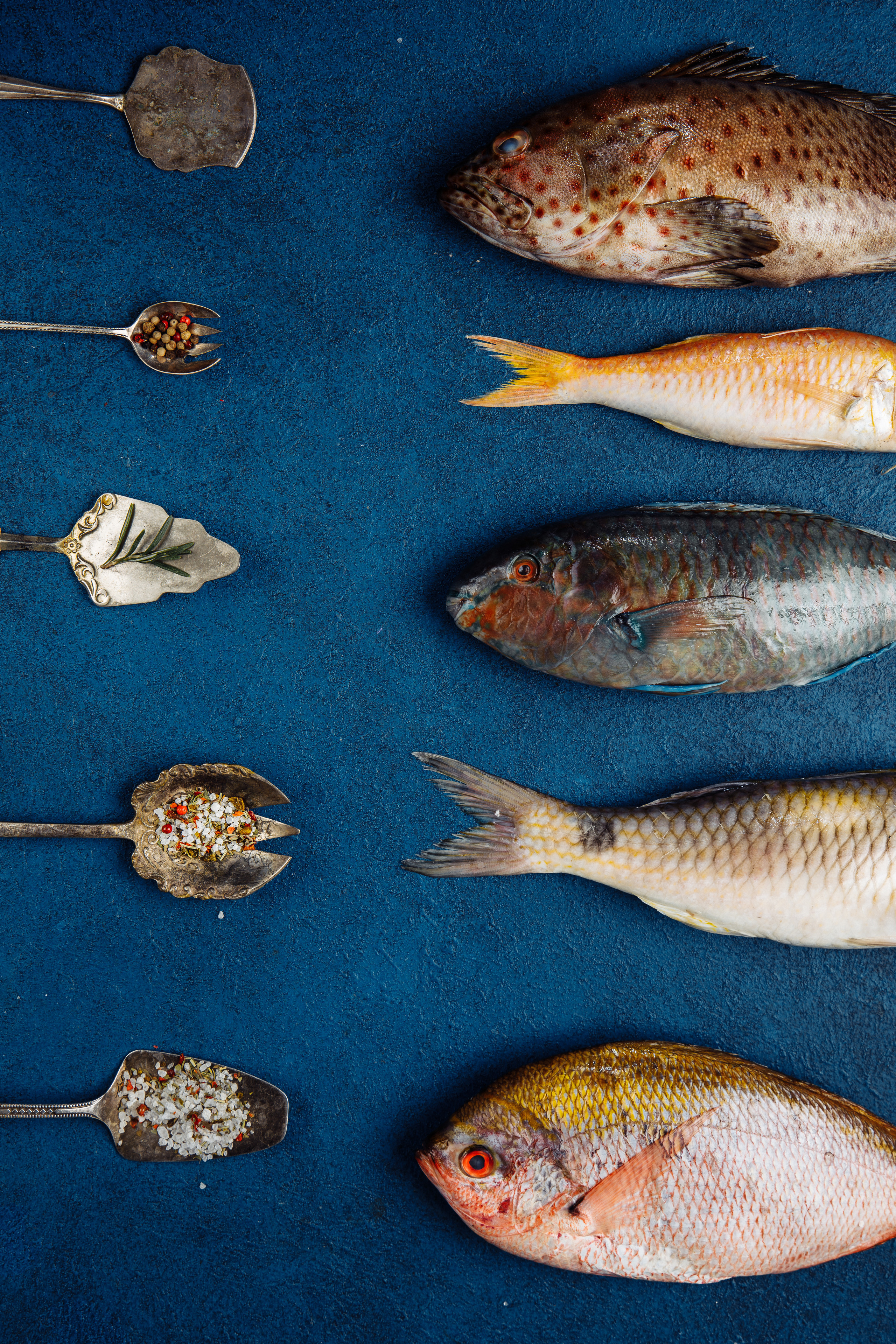 Наружная реклама для рыбного ресторана. Предметная и фуд-фотография в Екатеринбурге Екатерина Ковалева