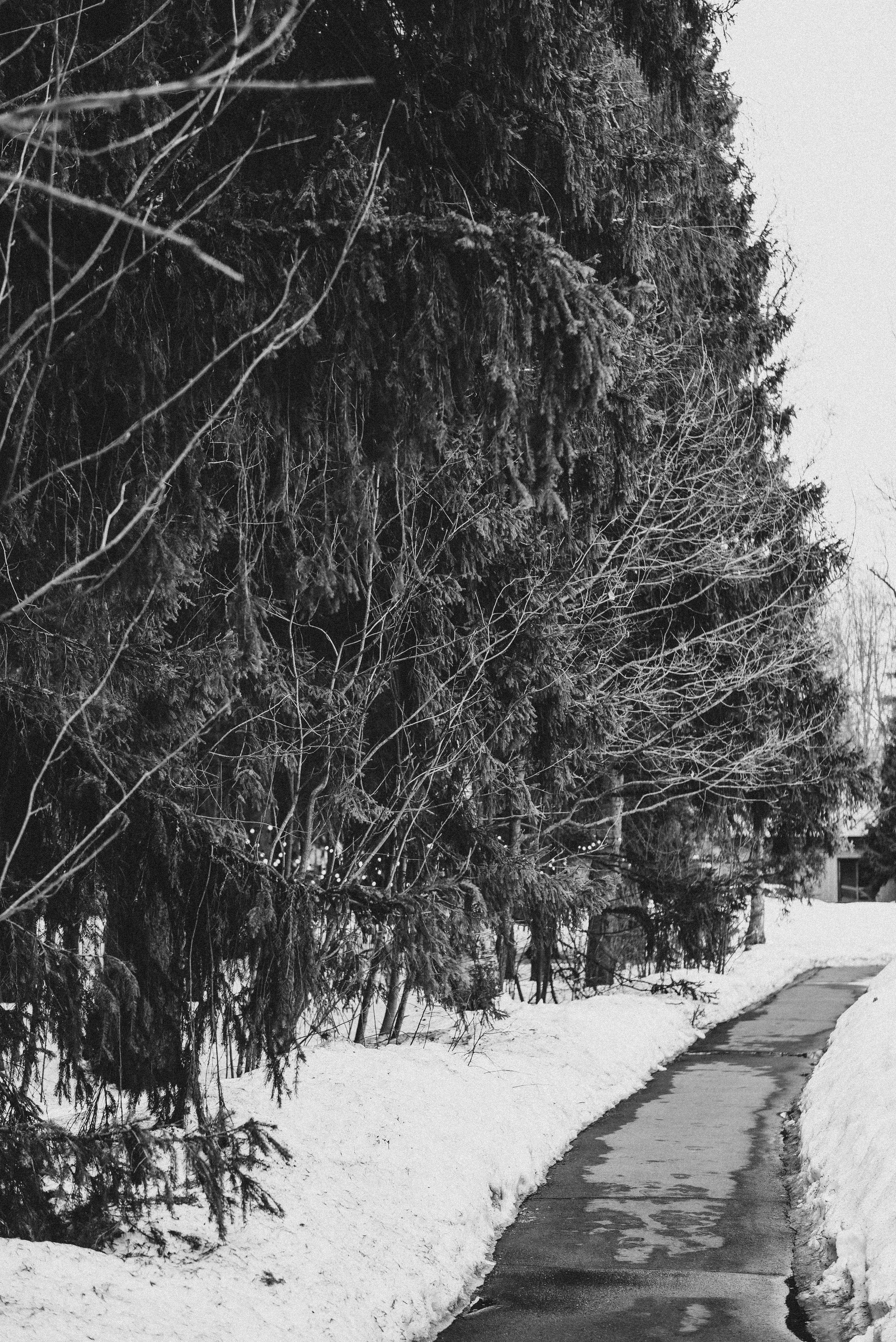 Hide backstage. Фотограф, визажист. Москва