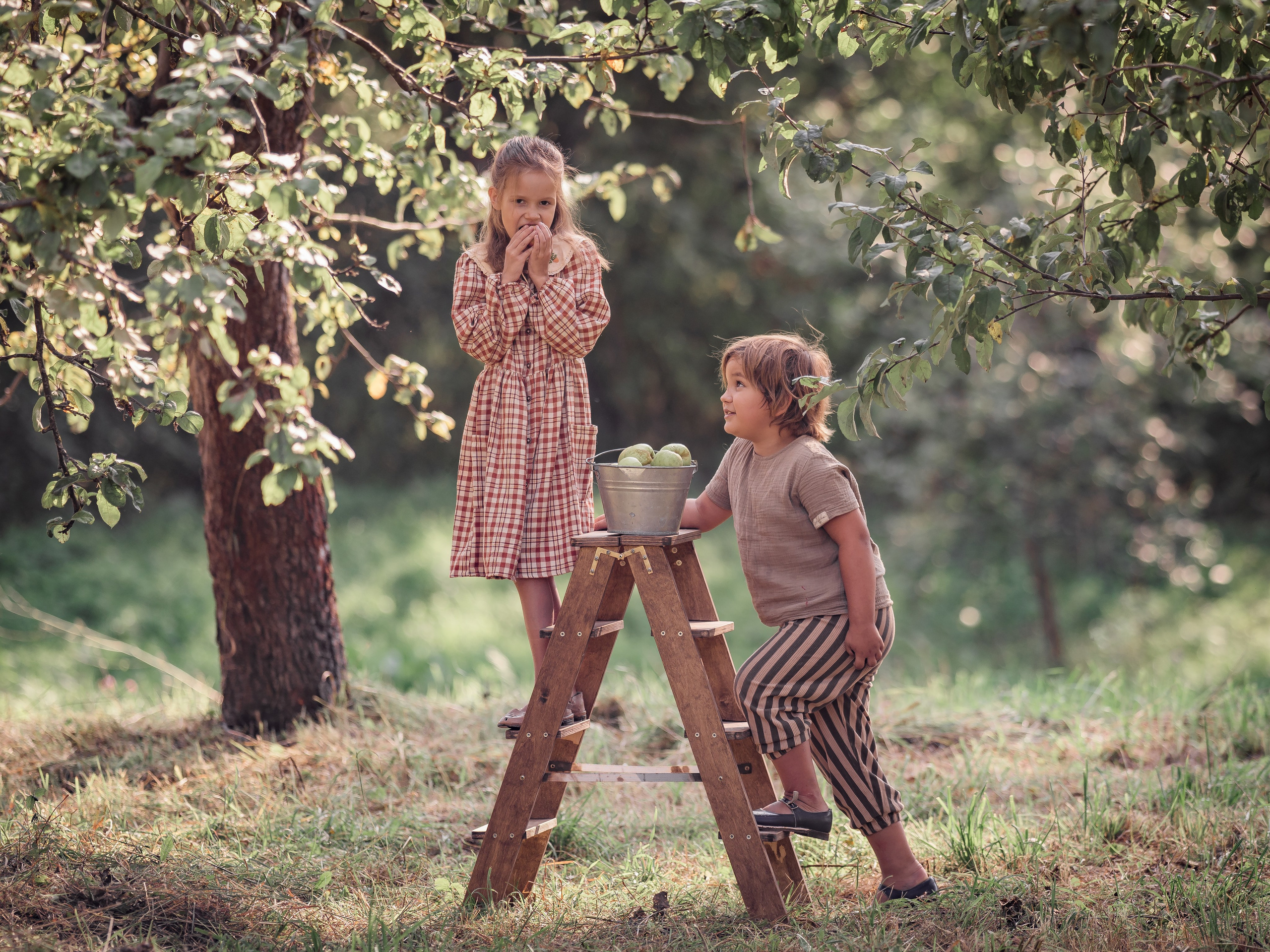 Яблочный сад. Семейный фотограф Ефремова Виктория
