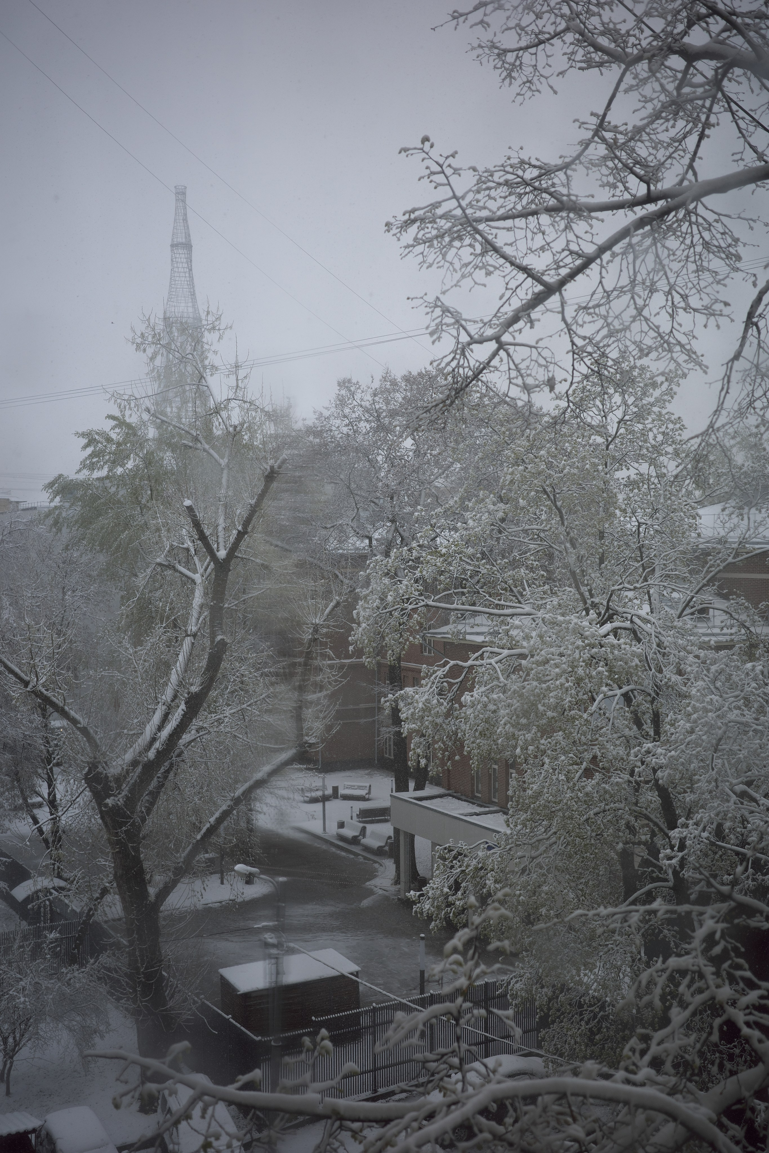 Апрельский снег ❄️. Миша Печёнкин | фотография