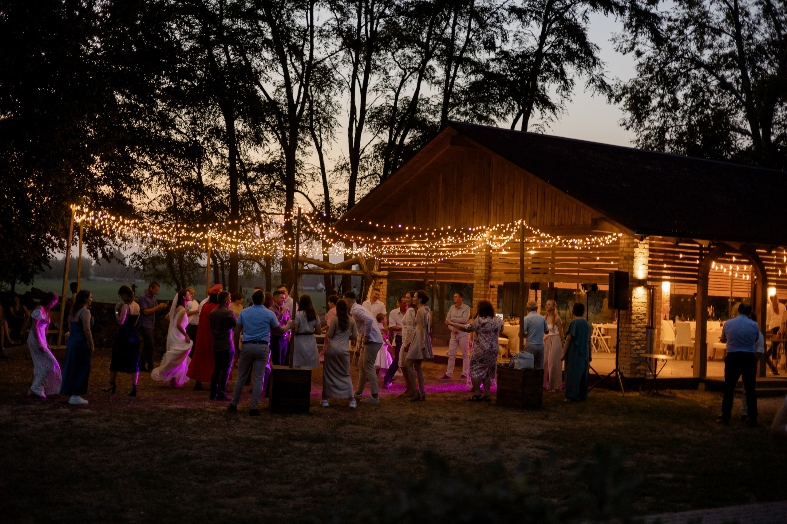 Виноградники. Dima Lemeshevsky