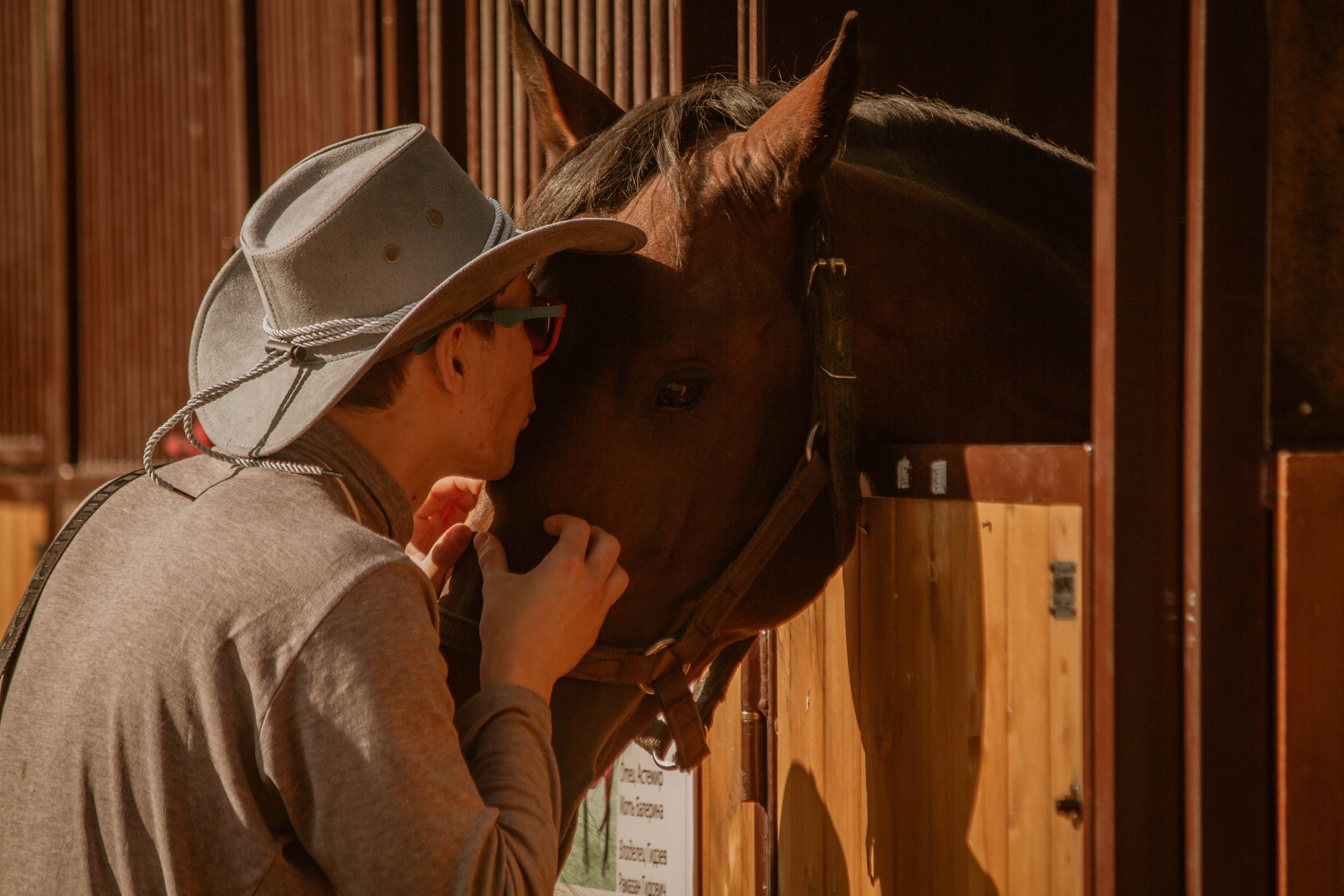 ИППОСФЕРА — Международная конная выставка. Создадим шедевр? Виталина и её фотоискусство