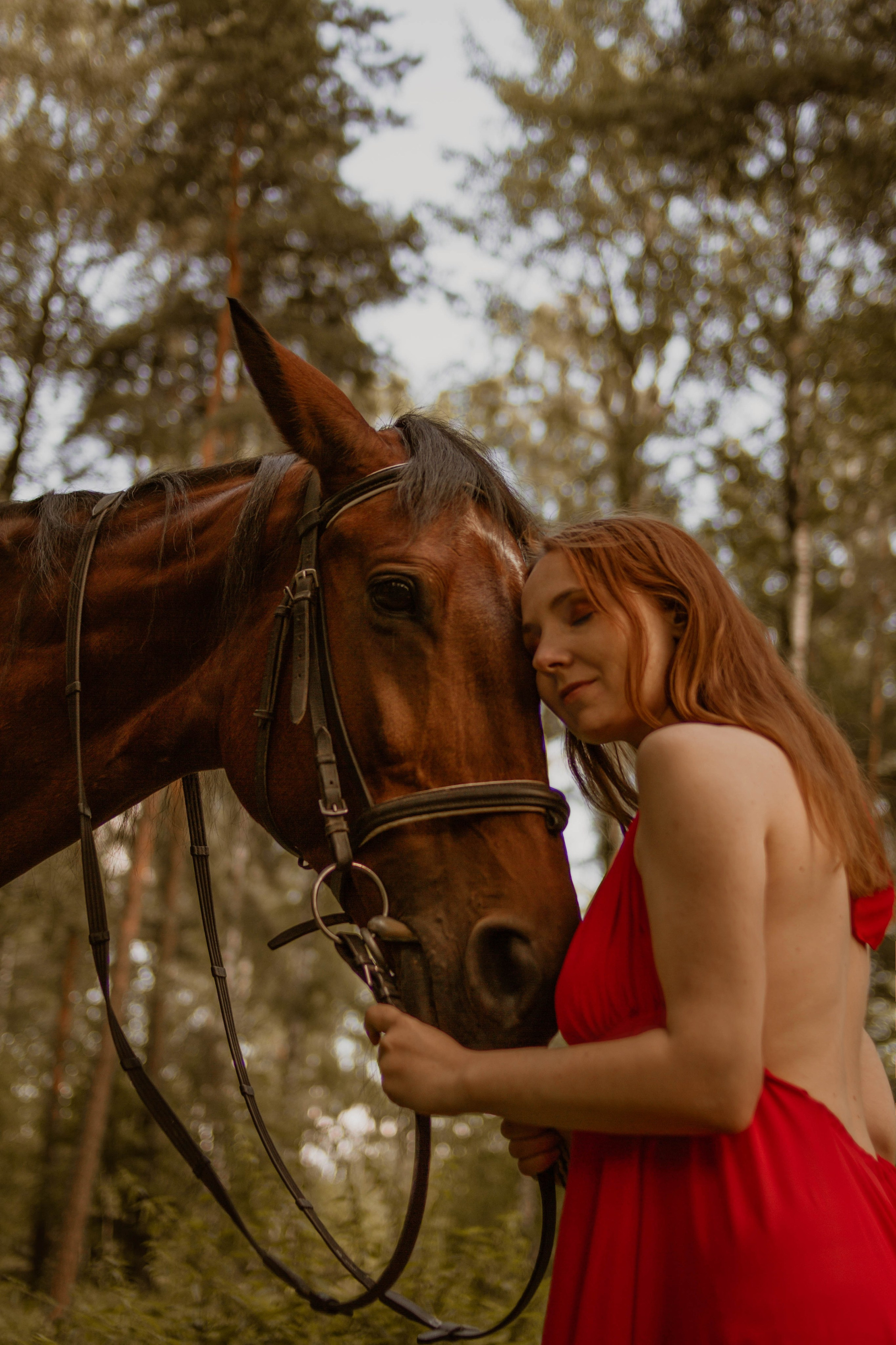 С лошадкой. Создадим шедевр? Виталина и её фотоискусство