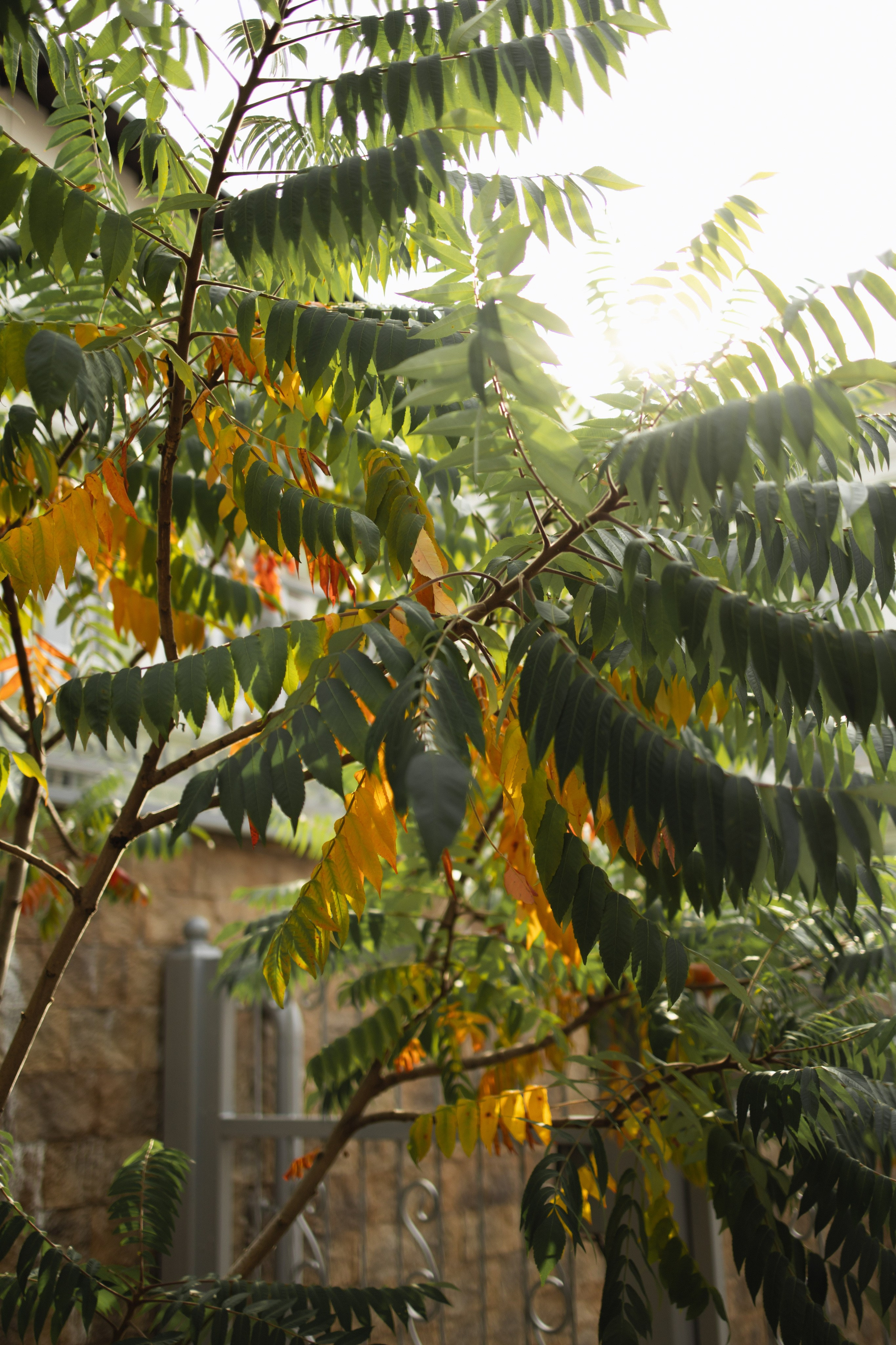 Надежда. Профессиональная видео и фото съёмка в Калуге и области