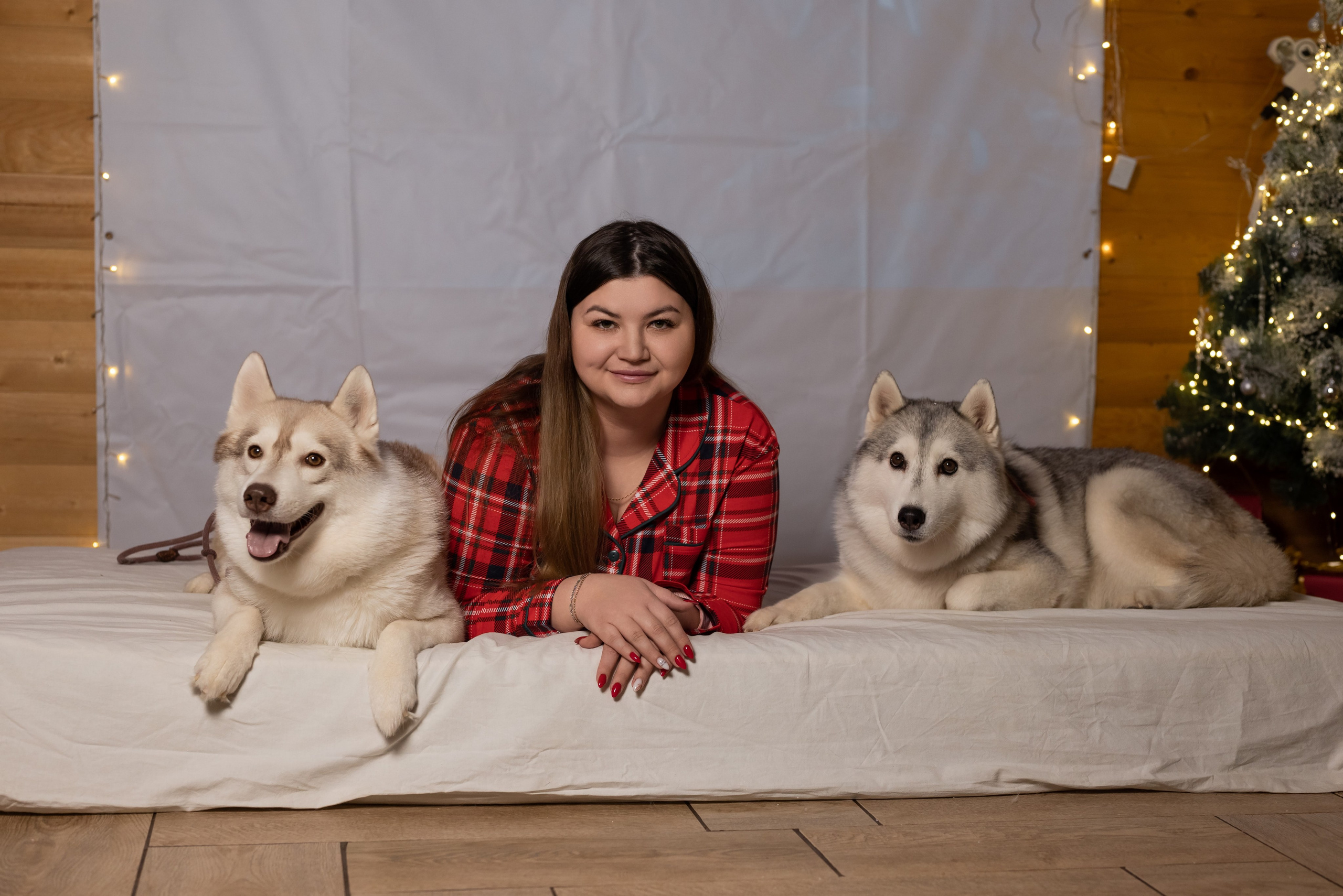 Фотопроект с хаски в частном доме. Фотограф в городе Салават