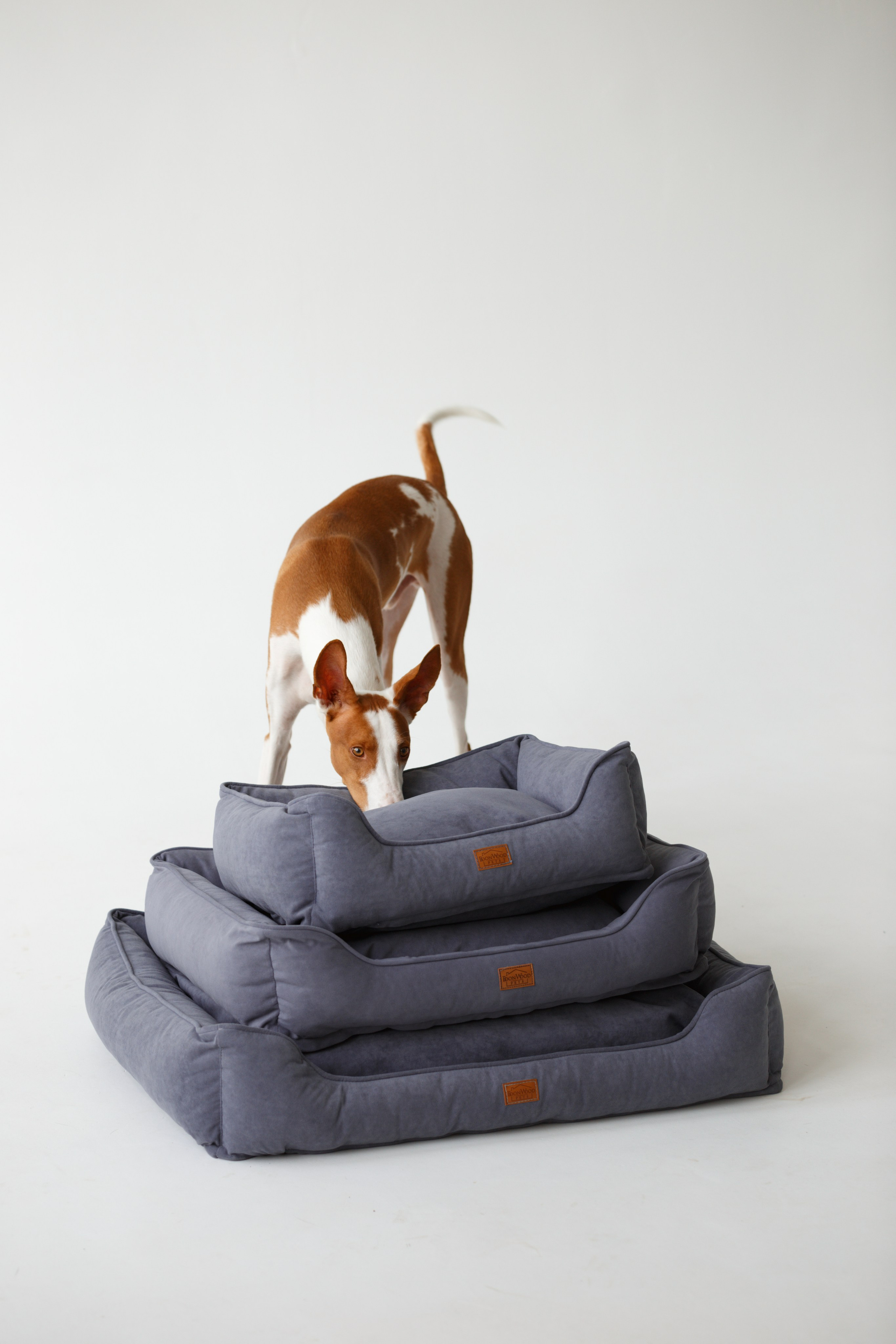 Boonwood Pets лежанки для животных. Фотограф анималист Кристина Карпова, Москва